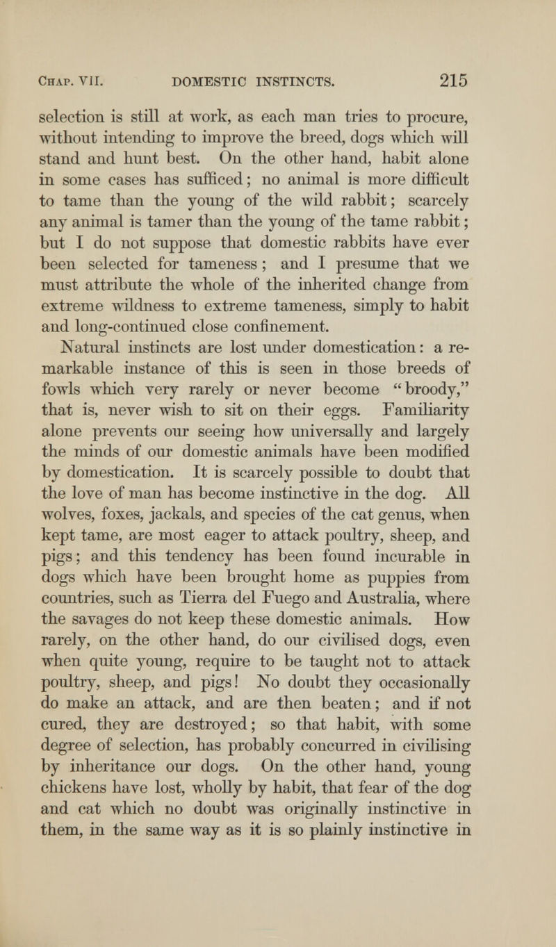 Chap. VII. DOMESTIC INSTINCTS. 215 selection is still at work, as each man tries to procure, without intending to improve the breed, dogs wliich will stand and hunt best. On the other hand, habit alone in some cases has sufficed ; no animal is more difficult to tame than the young of the wild rabbit; scarcely any animal is tamer than the young of the tame rabbit ; but I do not suppose that domestic rabbits have ever been selected for tameness ; and I presume that we must attribute the whole of the inherited change from extreme wildness to extreme tameness, simply to habit and long-continued close confinement. Natural instincts are lost under domestication : a re¬ markable instance of this is seen in those breeds of fowls which very rarely or never become broody, that is, never wish to sit on their eggs. Familiarity alone prevents our seeing how universally and largely the minds of our domestic animals have been modified by domestication. It is scarcely possible to doubt that the love of man has become instinctive in the dog. All wolves, foxes, jackals, and species of the cat genus, when kept tame, are most eager to attack poultry, sheep, and pigs ; and this tendency has been found incurable in dogs which have been brought home as puppies from countries, such as Tierra del Fuego and Australia, where the savages do not keep these domestic animals. How rarely, on the other hand, do our civilised dogs, even when quite young, require to be taught not to attack poultry, sheep, and pigs! No doubt they occasionally do make an attack, and are then beaten ; and if not cured, they are destroyed; so that habit, with some degree of selection, has probably concurred in civilising by inheritance our dogs. On the other hand, young chickens have lost, wholly by habit, that fear of the dog and cat which no doubt was originally instinctive in them, in the same way as it is so plainly instinctive in