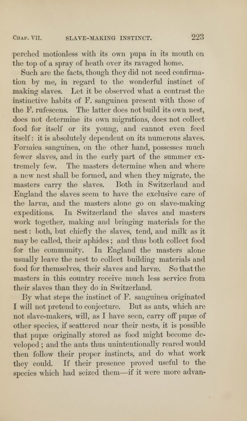 Chap. VII. SLAVE-MAKING INSTINCT. 223 perched motionless with its own pupa in its mouth on the top of a spray of heath over its ravaged home. Such are the facts, though they did not need confirma¬ tion by me, in regard to the wonderful instinct of making slaves. Let it be observed what a contrast the instinctive habits of Г. sanguinea present with those of the Г. rufescens. The latter does not build its own nest, does not determine its own migrations, does not collect food for itself or its young, and cannot even feed itself : it is absolutely dependent on its numerous slaves. Formica sanguinea, on the other hand, possesses much feAver slaves, and in the early part of the summer ex¬ tremely few. The masters determine when and where a new nest shall be formed, and when they migrate, the masters carry the slaves. Both in Switzerland and England the slaves seem to have the exclusive care of the larv8e, and the masters alone go on slave-making expeditions. In Switzerland the slaves and masters work together, making and bringing materials for the nest : both, but chiefly the slaves, tend, and milk as it may be called, their aphides ; and thus both collect food for the community. In England the masters alone usually leave the nest to collect building materials and food for themselves, their slaves and larvie. So that the masters in this country receive much less service from their slaves than they do in Switzerland. By what steps the instinct of F. sanguinea originated I will not pretend to conjecture. But as ants, which are not slave-makers, will, as I have seen, carry off pupse of other species, if scattered near their nests, it is possible that pupse originally stored as food might become de¬ veloped ; and the ants thus unintentionally reared would then follow their proper instincts, and do what work they could. If their presence proved useful to the species which had seized them—if it were more advan-