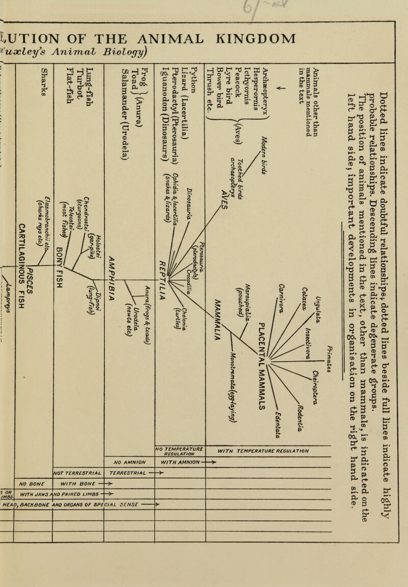 6 / ^ LUTION OF THE ANIMAL ^'uocley's AniTTtab Biology) KINGDOM