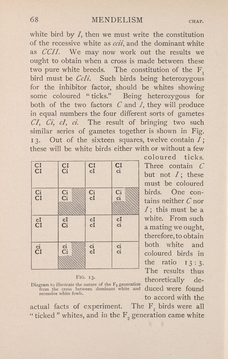 68 MENDELISM CHAP. white bird by /, then we must write the constitution of the recessive white as ccii, and the dominant white as CCI I. We may now work out the results we ought to obtain when a cross is made between these two pure white breeds. The constitution of the bird must be Celi. Such birds being heterozygous for the inhibitor factor, should be whites showing some coloured  ticks. Being heterozygous for both of the two factors С and /, they will produce in equal numbers the four different sorts of gametes 67, Сц cl, ci. The result of bringing two such similar series of gametes together is shown in Fig. 13. Out of the sixteen squares, twelve contain /; these will be white birds either with or without a few coloured ticks. Three contain С but not I ; these must be coloured birds. One con¬ tains neither С nor /; this must be a white. From such a mating we ought, therefore, to obtain both white and coloured birds in the ratio 13:3. The results thus theoretically der Diagram to illustrate the nature of the F2 generation , j ел from the cross between dominant white and dUCCQ Were foUnd recessive white fowls. . to accord With the actual facts of experiment. The F^ birds were all  ticked  whites, and in the F^ generation came white