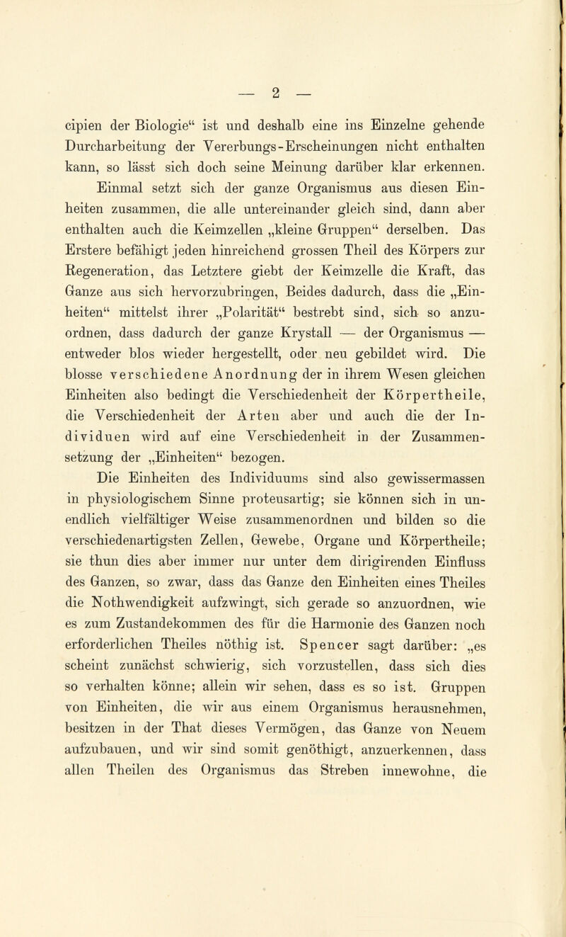 _ 2 — cipien der Biologie ist und deshalb eine ins Einzelne gehende Durcharbeitung der Vererbungs-Erscheinungen nicht enthalten kann, so lässt sich doch seine Meinung darüber klar erkennen. Einmal setzt sich der ganze Organismus aus diesen Ein¬ heiten zusammen, die alle untereinander gleich sind, dann aber enthalten auch die Keimzellen „kleine Gruppen derselben. Das Erstere befáhigt jeden hinreichend grossen Theil des Körpers zur Regeneration, das Letztere giebt der KeimzeUe die Kraft, das Ganze aus sich hervorzubringen. Beides dadurch, dass die „Ein¬ heiten mittelst ihrer „Polarität bestrebt sind, sich so anzu¬ ordnen, dass dadurch der ganze Krystall — der Organismus — entweder blos wieder hergestellt, oder neu gebildet wird. Die blosse verschiedene Anordnung der in ihrem Wesen gleichen Einheiten also bedingt die Verschiedenheit der Körpertheile, die Verschiedenheit der Arten aber und auch die der In¬ dividuen wird auf eine Verschiedenheit in der Zusammen¬ setzung der „Einheiten bezogen. Die Einheiten des Individuums sind also gewissermassen in physiologischem Sinne proteusartig; sie können sich in un¬ endlich vielfältiger Weise zusammenordnen und bilden so die verschiedenartigsten Zellen, Gewebe, Organe und Körpertheile; sie thun dies aber immer nur unter dem dirigirenden Einfluss des Ganzen, so zwar, dass das Ganze den Einheiten eines Theiles die Nothwendigkeit aufzwingt, sich gerade so anzuordnen, wie es zum Zustandekommen des für die Harmonie des Ganzen noch erforderlichen Theiles nöthig ist. Spencer sagt darüber: „es scheint zunächst schwierig, sich vorzustellen, dass sich dies so verhalten könne; allein wir sehen, dass es so ist. Gruppen von Einheiten, die wir aus einem Organismus herausnehmen, besitzen in der That dieses Vermögen, das Ganze von Neuem aufzubauen, und wir sind somit genöthigt, anzuerkennen, dass allen Theilen des Organismus das Streben innewohne, die