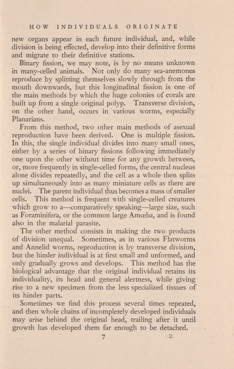 new organs appear in each future individual, and, while division is being effected, develop into their definitive forms and migrate to their definitive stations. Binary fission, we may note, is by no means unknown in many-celled animals. Not only do many sea-anemones reproduce by splitting themselves slowly through from the mouth downwards, but this longitudinal fission is one of the main methods by which the huge colonies of corals are built up from a single original polyp. Transverse division, on the other hand, occurs in various worms, especially Planarians. From this method, two other main methods of asexual reproduction have been derived. One is multiple fission. In this, the single individual divides into many small ones, either by a series of binary fissions following immediately one upon the other without time for any growth between, or, more frequently in single-celled forms, the central nucleus alone divides repeatedly, and the cell as a whole then splits up simultaneously into as many miniature cells as there are nuclei. The parent individual thus becomes a mass of smaller cells. This method is frequent with single-celled creatures which grow to a—comparatively speaking—large size, such as Foraminifera, or the common large Amceba, and is found also in the malarial parasite. The other method consists in making the two products of division unequal. Sometimes, as in various Fl'atworms and Annelid worms, reproduction is by transverse division, but the hinder individual is at first small and unformed, and only gradually grows and develops. This method has the biological advantage that the original individual retains its individuality, its head and general alertness, while giving rise to a new specimen from the less specialized tissues of its hinder parts. Sometimes we find this process several times repeated, and then whole chains of incompletely developed individuals may arise behind the original head, trailing after it until growth has developed them far enough to be detached.