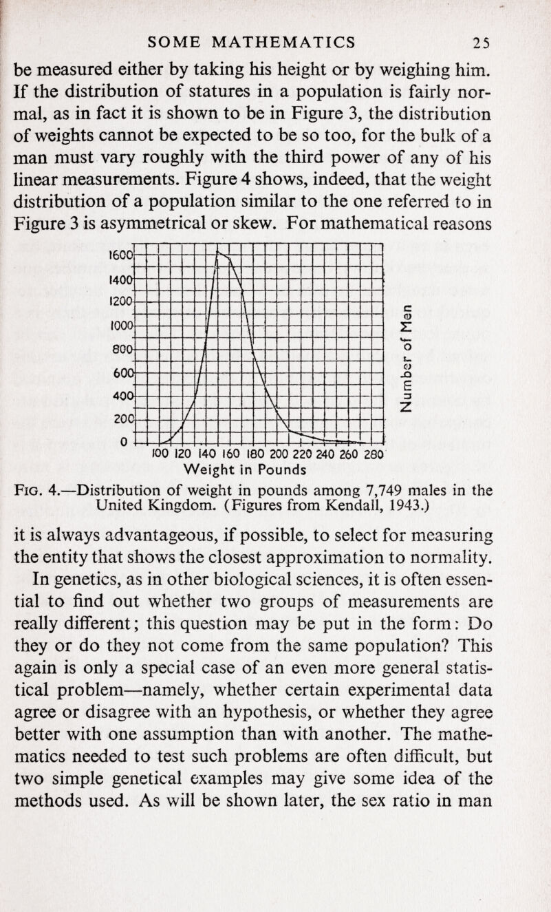 be measured either by taking his height or by weighing him. If the distribution of statures in a population is fairly nor mal, as in fact it is shown to be in Figure 3, the distribution of weights cannot be expected to be so too, for the bulk of a man must vary roughly with the third power of any of his linear measurements. Figure 4 shows, indeed, that the weight distribution of a population similar to the one referred to in Figure 3 is asymmetrical or skew. For mathematical reasons 1600 140O I20O 1000 800- 600 400 200 0 s V [ \ \| 1 i \ \ \ / \ / \ / } ' \ / / / / fC >0 12 !0 \A L0 li >0 IÍ 30 2 00 220 240 260 2 90 c o Z O J_ 0) jQ E 3 z Weight in Pounds Fig. 4. —Distribution of weight in pounds among 7,749 males in the United Kingdom. (Figures from Kendall, 1943.) it is always advantageous, if possible, to select for measuring the entity that shows the closest approximation to normality. In genetics, as in other biological sciences, it is often essen tial to find out whether two groups of measurements are really different; this question may be put in the form: Do they or do they not come from the same population? This again is only a special case of an even more general statis tical problem—namely, whether certain experimental data agree or disagree with an hypothesis, or whether they agree better with one assumption than with another. The mathe matics needed to test such problems are often difficult, but two simple genetical examples may give some idea of the methods used. As will be shown later, the sex ratio in man