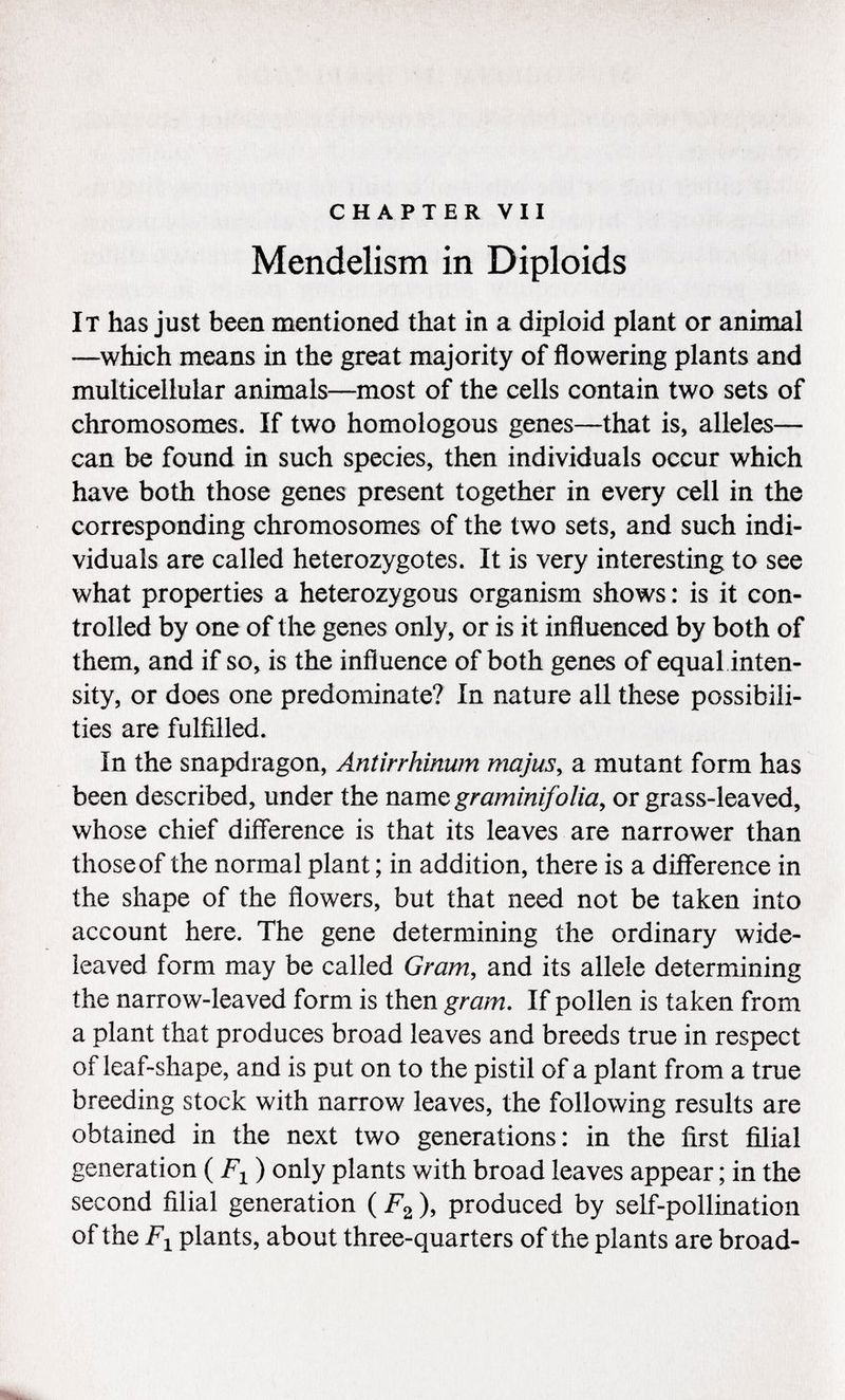 chapter vii Mendelism in Diploids It has just been mentioned that in a diploid plant or animal —which means in the great majority of flowering plants and multicellular animals—most of the cells contain two sets of chromosomes. If two homologous genes—that is, alleles— can be found in such species, then individuals occur which have both those genes present together in every cell in the corresponding chromosomes of the two sets, and such indi viduals are called heterozygotes. It is very interesting to see what properties a heterozygous organism shows : is it con trolled by one of the genes only, or is it influenced by both of them, and if so, is the influence of both genes of equal inten sity, or does one predominate? In nature all these possibili ties are fulfilled. In the snapdragon, Antirrhinum majus , a mutant form has been described, under the name graminifolia, or grass-leaved, whose chief difference is that its leaves are narrower than those of the normal plant ; in addition, there is a difference in the shape of the flowers, but that need not be taken into account here. The gene determining the ordinary wide- leaved form may be called Gram, and its allele determining the narrow-leaved form is then gram. If pollen is taken from a plant that produces broad leaves and breeds true in respect of leaf-shape, and is put on to the pistil of a plant from a true breeding stock with narrow leaves, the following results are obtained in the next two generations: in the first filial generation (F 1 ) only plants with broad leaves appear ; in the second filial generation ( F 2 ), produced by self-pollination of the F 1 plants, about three-quarters of the plants are broad-