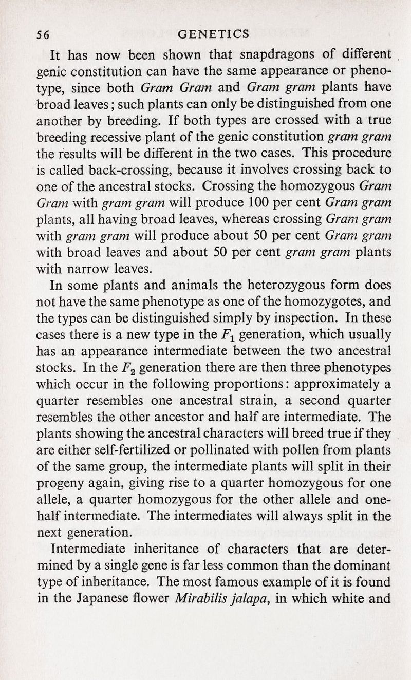 It has now been shown that snapdragons of different . genie constitution can have the same appearance or pheno- type, since both Gram Gram and Gram gram plants have broad leaves ; such plants can only be distinguished from one another by breeding. If both types are crossed with a true breeding recessive plant of the genie constitution gram gram the results will be different in the two cases. This procedure is called back-crossing, because it involves crossing back to one of the ancestral stocks. Crossing the homozygous Gram Gram with gram gram will produce 100 per cent Gram gram plants, all having broad leaves, whereas crossing Gram gram with gram gram will produce about 50 per cent Gram gram with broad leaves and about 50 per cent gram gram plants with narrow leaves. In some plants and animals the heterozygous form does not have the same phenotype as one of the homozygotes, and the types can be distinguished simply by inspection. In these cases there is a new type in the F ± generation, which usually has an appearance intermediate between the two ancestral stocks. In the F 2 generation there are then three phenotypes which occur in the following proportions : approximately a quarter resembles one ancestral strain, a second quarter resembles the other ancestor and half are intermediate. The plants showing the ancestral characters will breed true if they are either self-fertilized or pollinated with pollen from plants of the same group, the intermediate plants will split in their progeny again, giving rise to a quarter homozygous for one allele, a quarter homozygous for the other allele and one- half intermediate. The intermediates will always split in the next generation. Intermediate inheritance of characters that are deter mined by a single gene is far less common than the dominant type of inheritance. The most famous example of it is found in the Japanese flower Mirabilis jalapa , in which white and