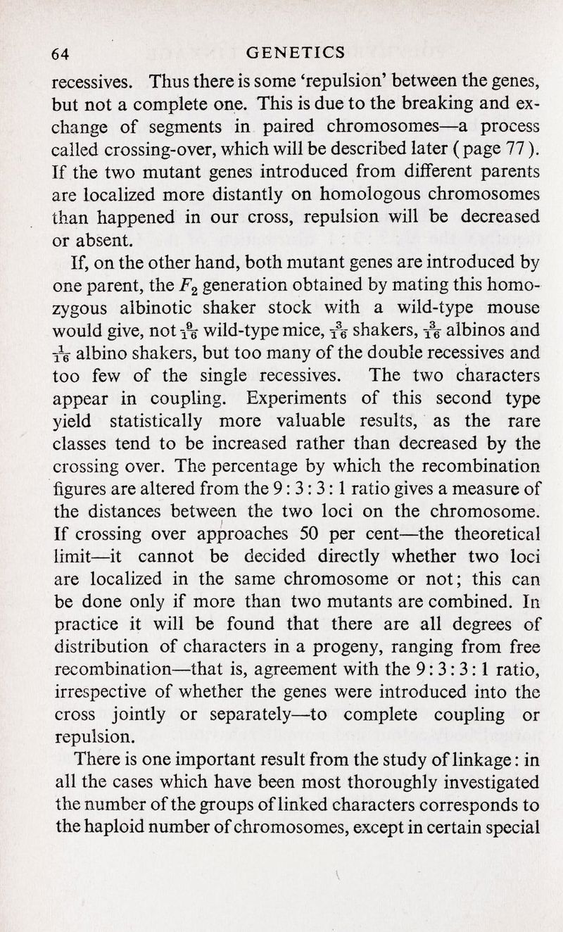 récessives. Thus there is some 'repulsion' between the genes, but not a complete one. This is due to the breaking and ex change of segments in paired chromosomes—a process called crossing-over, which will be described later ( page 77 ). If the two mutant genes introduced from different parents are localized more distantly on homologous chromosomes than happened in our cross, repulsion will be decreased or absent. If, on the other hand, both mutant genes are introduced by one parent, the F 2 generation obtained by mating this homo zygous albinotic shaker stock with a wild-type mouse would give, not 1% wild-type mice, re shakers, yq albinos and xg albino shakers, but too many of the double récessives and too few of the single récessives. The two characters appear in coupling. Experiments of this second type yield statistically more valuable results, as the rare classes tend to be increased rather than decreased by the crossing over. The percentage by which the recombination figures are altered from the 9:3:3:1 ratio gives a measure of the distances between the two loci on the chromosome. i If crossing over approaches 50 per cent—the theoretical limit—it cannot be decided directly whether two loci are localized in the same chromosome or not; this can be done only if more than two mutants are combined. In practice it will be found that there are all degrees of distribution of characters in a progeny, ranging from free recombination—that is, agreement with the 9:3:3:1 ratio, irrespective of whether the genes were introduced into the cross jointly or separately—to complete coupling or repulsion. There is one important result from the study of linkage : in all the cases which have been most thoroughly investigated the number of the groups of linked characters corresponds to the haploid number of chromosomes, except in certain special