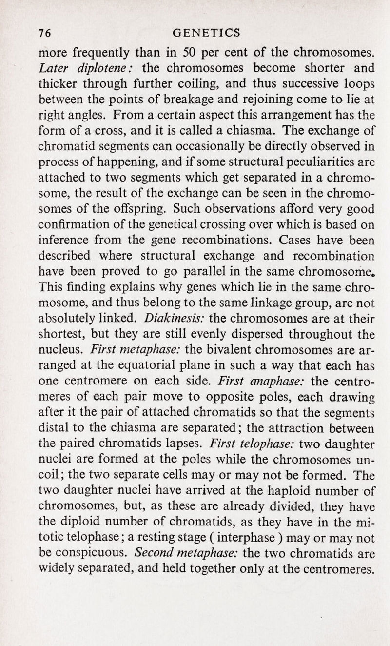 more frequently than in 50 per cent of the chromosomes. Later diplotene: the chromosomes become shorter and thicker through further coiling, and thus successive loops between the points of breakage and rejoining come to lie at right angles. From a certain aspect this arrangement has the form of a cross, and it is called a chiasma. The exchange of chromatid segments can occasionally be directly observed in process of happening, and if some structural peculiarities are attached to two segments which get separated in a chromo some, the result of the exchange can be seen in the chromo somes of the offspring. Such observations afford very good confirmation of the genetical crossing over which is based on inference from the gene recombinations. Cases have been described where structural exchange and recombination have been proved to go parallel in the same chromosome«» This finding explains why genes which lie in the same chro mosome, and thus belong to the same linkage group, are not absolutely linked. Diakinesis: the chromosomes are at their shortest, but they are still evenly dispersed throughout the nucleus. First metaphase: the bivalent chromosomes are ar ranged at the equatorial plane in such a way that each has one centromere on each side. First anaphase: the centro meres of each pair move to opposite poles, each drawing after it the pair of attached chromatids so that the segments distal to the chiasma are separated; the attraction between the paired chromatids lapses. First telophase: two daughter nuclei are formed at the poles while the chromosomes un coil ; the two separate cells may or may not be formed. The two daughter nuclei have arrived at the haploid number of chromosomes, but, as these are already divided, they have the diploid number of chromatids, as they have in the mi totic telophase ; a resting stage ( interphase ) may or may not be conspicuous. Second metaphase: the two chromatids are widely separated, and held together only at the centromeres.
