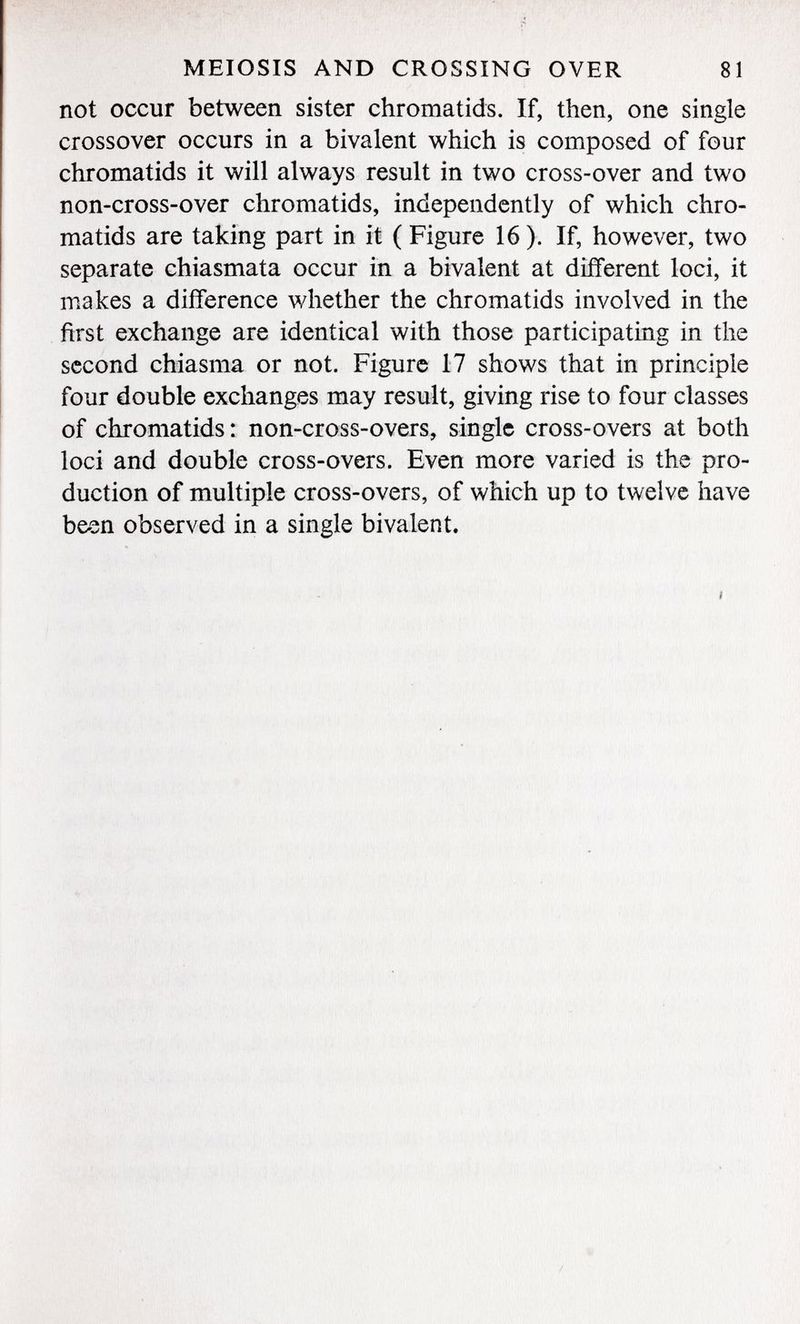 not occur between sister chromatids. If, then, one single crossover occurs in a bivalent which is composed of four chromatids it will always result in two cross-over and two non-cross-over chromatids, independently of which chro matids are taking part in it ( Figure 16 ). If, however, two separate chiasmata occur in a bivalent at different loci, it makes a difference whether the chromatids involved in the first exchange are identical with those participating in the second chiasma or not. Figure 17 shows that in principle four double exchanges may result, giving rise to four classes of chromatids: non-cross-overs, single cross-overs at both loci and double cross-overs. Even more varied is the pro duction of multiple cross-overs, of which up to twelve have been observed in a single bivalent.