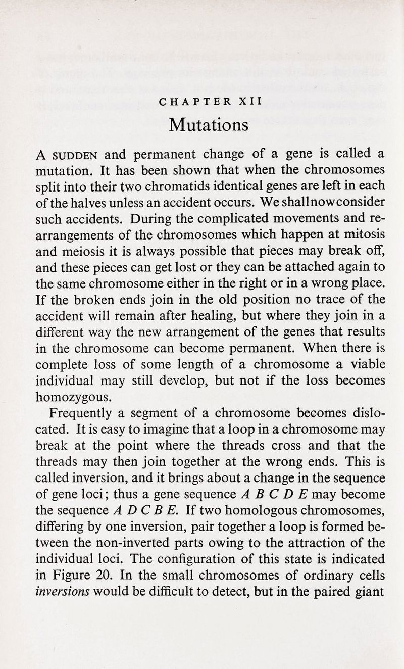 chapter xii Mutations A sudden and permanent change of a gene is called a mutation. It has been shown that when the chromosomes split into their two chromatids identical genes are left in each of the halves unless an accident occurs. We shall now consider such accidents. During the complicated movements and re arrangements of the chromosomes which happen at mitosis and meiosis it is always possible that pieces may break off, and these pieces can get lost or they can be attached again to the same chromosome either in the right or in a wrong place. If the broken ends join in the old position no trace of the accident will remain after healing, but where they join in a different way the new arrangement of the genes that results in the chromosome can become permanent. When there is complete loss of some length of a chromosome a viable individual may still develop, but not if the loss becomes homozygous. Frequently a segment of a chromosome becomes dislo cated. It is easy to imagine that a loop in a chromosome may break at the point where the threads cross and that the threads may then join together at the wrong ends. This is called inversion, and it brings about a change in the sequence of gene loci ; thus a gene sequence A B C D E may become the sequence A D C B E. If two homologous chromosomes, differing by one inversion, pair together a loop is formed be tween the non-inverted parts owing to the attraction of the individual loci. The configuration of this state is indicated in Figure 20. In the small chromosomes of ordinary cells inversions would be difficult to detect, but in the paired giant