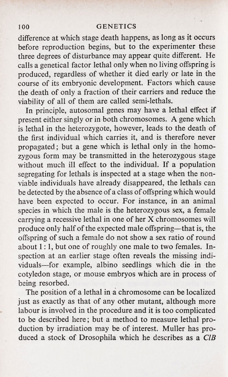 difference at which stage death happens, as long as it occurs before reproduction begins, but to the experimenter these three degrees of disturbance may appear quite different. He calls a genetical factor lethal only when no living offspring is produced, regardless of whether it died early or late in the course of its embryonic development. Factors which cause the death of only a fraction of their carriers and reduce the viability of all of them are called semi-lethals. In principle, autosomal genes may have a lethal effect if present either singly or in both chromosomes. A gene which is lethal in the heterozygote, however, leads to the death of the first individual which carries it, and is therefore never propagated ; but a gene which is lethal only in the homo zygous form may be transmitted in the heterozygous stage without much ill effect to the individual. If a population segregating for lethals is inspected at a stage when the non viable individuals have already disappeared, the lethals can be detected by the absence of a class of offspring which would have been expected to occur. For instance, in an animal species in which the male is the heterozygous sex, a female carrying a recessive lethal in one of her X chromosomes will produce only half of the expected male offspring—that is, the oifspring of such a female do not show a sex ratio of round about 1:1, but one of roughly one male to two females. In spection at an earlier stage often reveals the missing indi viduals—for example, albino seedlings which die in the cotyledon stage, or mouse embryos which are in process of being resorbed. The position of a lethal in a chromosome can be localized just as exactly as that of any other mutant, although more labour is involved in the procedure and it is too complicated to be described here ; but a method to measure lethal pro duction by irradiation may be of interest. Muller has pro duced a stock of Drosophila which he describes as a CIB