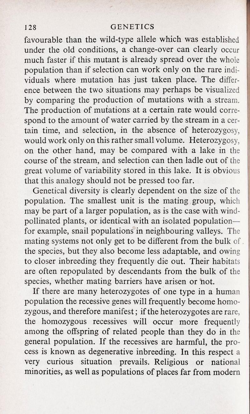 favourable than the wild-type allele which was established under the old conditions, a change-over can clearly occur much faster if this mutant is already spread over the whole population than if selection can work only on the rare indi viduals where mutation has just taken place. The differ ence between the two situations may perhaps be visualized by comparing the production of mutations with a stream. The production of mutations at a certain rate would corre spond to the amount of water carried by the stream in a cer tain time, and selection, in the absence of heterozygosy, would work only on this rather small volume. Heterozygosy, on the other hand, may be compared with a lake in the course of the stream, and selection can then ladle out of the great volume of variability stored in this lake. It is obvious that this analogy should not be pressed too far. Genetical diversity is clearly dependent on the size of the population. The smallest unit is the mating group, which may be part of a larger population, as is the case with wind- pollinated plants, or identical with an isolated population— for example, snail populations in neighbouring valleys. The mating systems not only get to be different from the bulk of the species, but they also become less adaptable, and owing to closer inbreeding they frequently die out. Their habitats are often repopulated by descendants from the bulk of the species, whether mating barriers have arisen or tiot. if there are many heterozygotes of one type in a human population the recessive genes will frequently become homo zygous, and therefore manifest ; if the heterozygotes are rare 5 the homozygous récessives will occur more frequently among the offspring of related people than they do in the general population. If the récessives are harmful, the pro cess is known as degenerative inbreeding. In this respect a very curious situation prevails. Religious or national minorities, as well as populations of places far from modern
