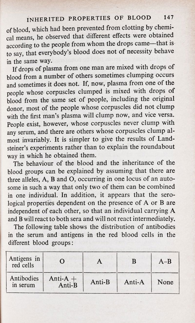 of blood, which had been prevented from clotting by chemi cal means, he observed that different effects were obtained according to the people from whom the drops came—that is to say, that everybody's blood does not of necessity behave in the same way. If drops of plasma from one man are mixed with drops of blood from a number of others sometimes clumping occurs and sometimes it does not. If, now, plasma from one of the people whose corpuscles clumped is mixed with drops of blood from the same set of people, including the original donor, most of the people whose corpuscles did not clump with the first man's plasma will clump now, and vice versa. People exist, however, whose corpuscles never clump with any serum, and there are others whose corpuscles clump al most invariably. It is simpler to give the results of Land- steiner's experiments rather than to explain the roundabout way in which he obtained them. The behaviour of the blood and the inheritance of the blood groups can be explained by assuming that there are three alleles, A, B and O, occurring in one locus of an auto some in such a way that only two of them can be combined in one individual. In addition, it appears that the sero logical properties dependent on the presence of A or B are independent of each other, so that an individual carrying A and B will react to both sera and will not react intermediately. The following table shows the distribution of antibodies in the serum and antigens in the red blood cells in the different blood groups: Antigens in red cells 0 A B A-B Antibodies in serum Anti-A + Anti-B Anti-B Anti-A None