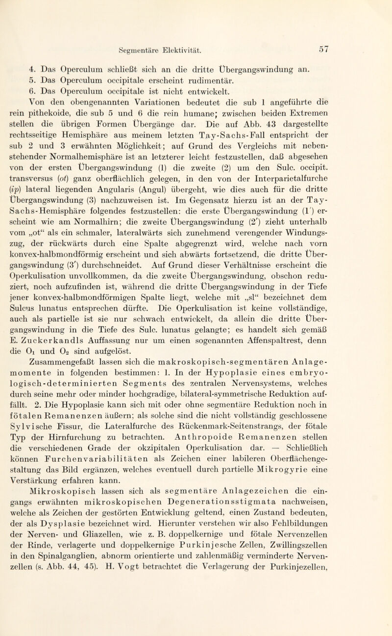 Segmentare Elektivität. 57 4. Das Operculum schließt sich an die dritte Übergangswindung an. 5. Das Operculum occipitale erscheint rudimentär. 6. Das Operculum occipitale ist nicht entwickelt. Von den obengenannten Variationen bedeutet die sub 1 angeführte die rein pithekoide, die sub 5 und 6 die rein humane; zwischen beiden Extremen stellen die übrigen Formen Übergänge dar. Die auf Abb. 43 dargestellte rechtsseitige Hemisphäre aus meinem letzten Tay-Sachs-Fall entspricht der sub 2 und 3 erwähnten Möglichkeit; auf Grund des Vergleichs mit neben¬ stehender Normalhemisphäre ist an letzterer leicht festzustellen, daß abgesehen von der ersten Übergangswindung (1) die zweite (2) um den Sulc. occipit. transversus [ot] ganz oberflächlich gelegen, in den von der Interparietalfurche {if) lateral liegenden Angularis (Angui) übergeht, wie dies auch für die dritte Übergangswindung (3) nachzuweisen ist. Im Gegensatz hierzu ist an der Tay- S ach s-Hemisphäre folgendes festzustellen: die erste Übergangswindung (!') er¬ scheint wie am Normalhirn; die zweite Übergangswindung (2') zieht unterhalb vom „ot als ein schmaler, lateralwärts sich zunehmend verengender Windungs¬ zug, der rückwärts durch eine Spalte abgegrenzt wird, welche nach vorn konvex-halbmondförmig erscheint und sich abwärts fortsetzend, die dritte Über¬ gangswindung (3') durchschneidet. Auf Grund dieser Verhältnisse erscheint die Operkulisation unvollkommen, da die zweite Übergangswindung, obschon redu¬ ziert, noch aufzufinden ist, während die dritte Übergangswindung in der Tiefe jener konvex-halbmondförmigen Spalte liegt, welche mit „sl bezeichnet dem Sulcus lunatus entsprechen dürfte. Die Operkulisation ist keine vollständige, auch als partielle ist sie nur schwach entwickelt, da allein die dritte Über¬ gangswindung in die Tiefe des Sulc. lunatus gelangte; es handelt sich gemäß E. Zuckerkandis Auffassung nur um einen sogenannten Affenspalt rest, denn die Ol und O2 sind aufgelöst. Zusammengefaßt lassen sich die makroskopisch-segmentären Anlage¬ momente in folgenden bestimmen: 1. In der Hypoplasie eines embryo- logisch-determinierten Segments des zentralen Nervensystems, welches durch seine mehr oder minder hochgradige, bilateral-symmetrische Reduktion auf¬ fällt. 2. Die Hypoplasie kann sich mit oder ohne segmentare Reduktion noch in fötalen Remanenzen äußern; als solche sind die nicht vollständig geschlossene Sy Ivi sehe Fissur, die Lateralfurche des Rückenmark-Seitenstrangs, der fötale Typ der Hirn furchung zu betrachten. Anthropoide Remanenzen stellen die verschiedenen Grade der okzipitalen Operkulisation dar. — Schließlich können Furchenvariabilitäten als Zeichen einer labileren Oberflächenge¬ staltung das Bild ergänzen, welches eventuell durch partielle Mikrogyrie eine Verstärkung erfahren kann. Mikroskopisch lassen sich als segmentäre Anlagezeichen die ein¬ gangs erwähnten mikroskopischen Degenerationsstigmata nachweisen, welche als Zeichen der gestörten Entwicklung geltend, einen Zustand bedeuten, der als Dysplasie bezeichnet wird. Hierunter verstehen wir also Fehlbildungen der Nerven- und Gliazellen, wie z. B. doppelkernige und fötale Nervenzellen der Rinde, verlagerte und doppelkernige Pur kin j esche Zellen, Zwillingszellen in den Spinalganglien, abnorm orientierte und zahlenmäßig verminderte Nerven¬ zellen (s. Abb. 44, 45). H. Vogt betrachtet die Verlagerung der Purkinjezellen,