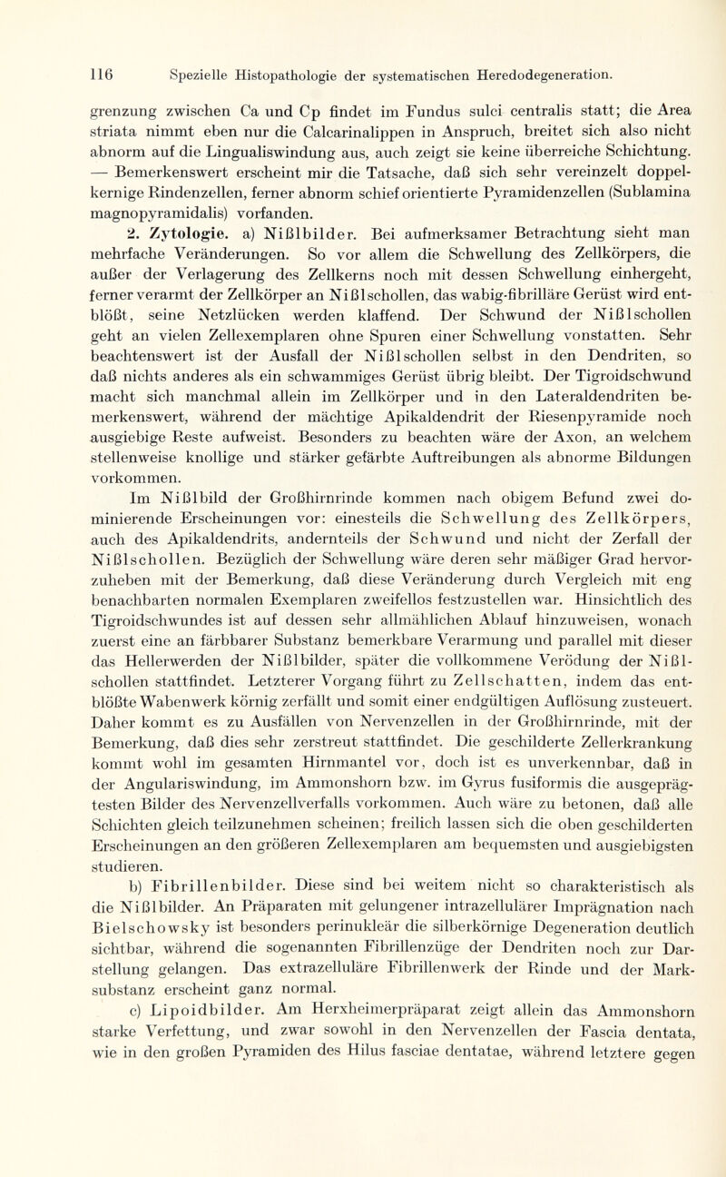 116 Spezielle Histopathologic der systematischen Heredodegeneration. grenzung zwischen Ca und Cp findet im Fundus sulci centralis statt; die Area striata nimmt eben nur die Calcarinalippen in Anspruch, breitet sich also nicht abnorm auf die Lingualiswindung aus, auch zeigt sie keine überreiche Schichtung. — Bemerkenswert erscheint mir die Tatsache, daß sich sehr vereinzelt doppel¬ kernige Rindenzellen, ferner abnorm schief orientierte Pyramidenzellen (Sublamina magnopyramidalis) vorfanden. 2. Zytologie, a) Nißlbilder. Bei aufmerksamer Betrachtung sieht man mehrfache Veränderungen. So vor allem die Schwellung des Zellkörpers, die außer der Verlagerung des Zellkerns noch mit dessen Schwellung einhergeht, ferner verarmt der Zellkörper an Nißlschollen, das wabig-fibrillare Gerüst wird ent¬ blößt, seine Netzlücken werden klaffend. Der Schwund der Nißlschollen geht an vielen Zellexemplaren ohne Spuren einer Schwellung vonstatten. Sehr beachtenswert ist der Ausfall der Nißlschollen selbst in den Dendriten, so daß nichts anderes als ein schwammiges Gerüst übrig bleibt. Der Tigroidschwund macht sich manchmal allein im Zellkörper und in den Lateraldendriten be¬ merkenswert, während der mächtige Apikaidendrit der Riesenpyramide noch ausgiebige Reste aufweist. Besonders zu beachten wäre der Axon, an welchem stellenweise knollige und stärker gefärbte Auftreibungen als abnorme Bildungen vorkommen. Im Nißlbild der Großhirnrinde kommen nach obigem Befund zwei do¬ minierende Erscheinungen vor: einesteils die Schwellung des Zellkörpers, auch des Apikaldendrits, andernteils der Schwund und nicht der Zerfall der Nißlschollen. Bezüglich der Schwellung wäre deren sehr mäßiger Grad hervor¬ zuheben mit der Bemerkung, daß diese Veränderung durch Vergleich mit eng benachbarten normalen Exemplaren zweifellos festzustellen war. Hinsichtlich des Tigroidschwundes ist auf dessen sehr allmählichen Ablauf hinzuweisen, wonach zuerst eine an färbbarer Substanz bemerkbare Verarmung und parallel mit dieser das Hellerwerden der Nißlbilder, später die vollkommene Verödung der Nißl¬ schollen stattfindet. Letzterer Vorgang führt zu Zellschatten, indem das ent¬ blößte Wabenwerk körnig zerfällt und somit einer endgültigen Auflösung zusteuert. Daher kommt es zu Ausfällen von Nervenzellen in der Großhirnrinde, mit der Bemerkung, daß dies sehr zerstreut stattfindet. Die geschilderte Zellerkrankung kommt wohl im gesamten Hirnmantel vor, doch ist es unverkennbar, daß in der Angulariswindung, im Ammonshorn bzw. im Gyrus fusiformis die ausgepräg¬ testen Bilder des Nervenzellverfalls vorkommen. Auch wäre zu betonen, daß alle Schichten gleich teilzunehmen scheinen; freilich lassen sich die oben geschilderten Erscheinungen an den größeren Zellexemplaren am bequemsten und ausgiebigsten studieren. b) Fibrillenbilder. Diese sind bei weitem nicht so charakteristisch als die Nißlbilder. An Präparaten mit gelungener intrazellulärer Imprägnation nach Bielschowsky ist besonders perinukleär die silberkörnige Degeneration deutlich sichtbar, während die sogenannten Fibrillenzüge der Dendriten noch zur Dar¬ stellung gelangen. Das extrazelluläre Fibrillenwerk der Rinde und der Mark¬ substanz erscheint ganz normal. c) Lipoidbilder. Am Herxheimerpräparat zeigt allein das Ammonshorn starke Verfettung, und zwar sowohl in den Nervenzellen der Fascia dentata, wie in den großen Pyramiden des Hilus fasciae dentatae, während letztere gegen