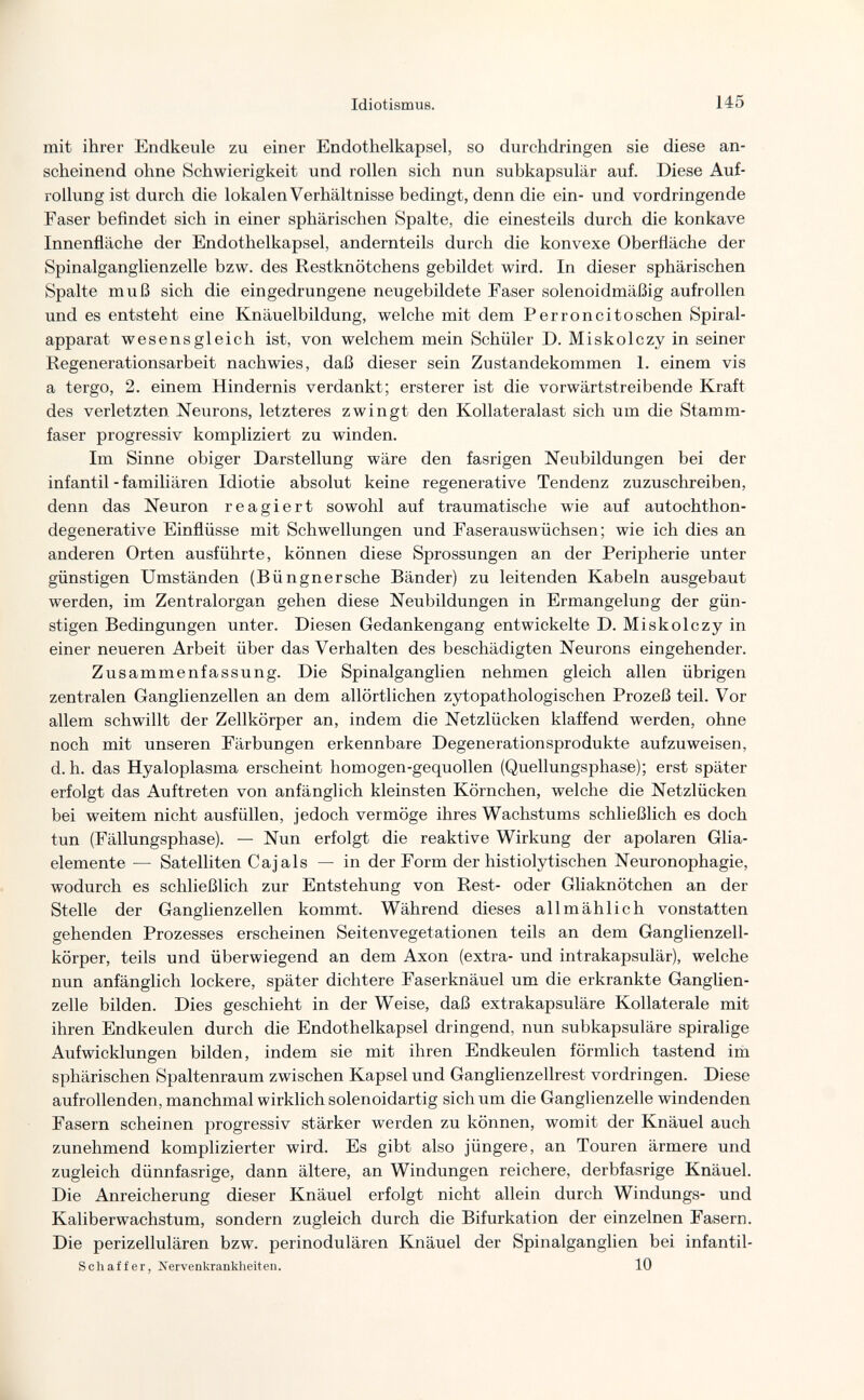 F Idiotismus. 145 mit ihrer Endkeule zu einer Endothelkapsel, so durchdringen sie diese an¬ scheinend ohne Schwierigkeit und rollen sich nun subkapsulär auf. Diese Auf- roilung ist durch die lokalen Verhältnisse bedingt, denn die ein- und vordringende Faser befindet sich in einer sphärischen Spalte, die einesteils durch die konkave Innenfläche der Endothelkapsel, andernteils durch die konvexe Oberfläche der Spinalganglienzelle bzw. des Restknötchens gebildet wird. In dieser sphärischen Spalte muß sich die eingedrungene neugebildete Faser solenoidmäßig aufrollen und es entsteht eine Knäuelbildung, welche mit dem Per ron с i to sehen Spiral¬ apparat wesensgleich ist, von welchem mein Schüler D. Miskolczy in seiner Regenerationsarbeit nachwies, daß dieser sein Zustandekommen 1. einem vis a tergo, 2. einem Hindernis verdankt; ersterer ist die vorwärtstreibende Kraft des verletzten Neurons, letzteres zwingt den Kollateralast sich um die Stamm¬ faser progressiv kompliziert zu winden. Im Sinne obiger Darstellung wäre den fasrigen Neubildungen bei der infantil - familiären Idiotie absolut keine regenerative Tendenz zuzuschreiben, denn das Neuron reagiert sowohl auf traumatische wie auf autochthon- degenerative Einflüsse mit Schwellungen und Faserauswüchsen; wie ich dies an anderen Orten ausführte, können diese Sprossungen an der Peripherie unter günstigen Umständen (Büngnersche Bänder) zu leitenden Kabeln ausgebaut werden, im Zentralorgan gehen diese Neubildungen in Ermangelung der gün¬ stigen Bedingungen unter. Diesen Gedankengang entwickelte D. Miskolczy in einer neueren Arbeit über das Verhalten des beschädigten Neurons eingehender. Zusammenfassung. Die Spinalganglien nehmen gleich allen übrigen zentralen Ganglienzellen an dem allörtlichen zytopathologischen Prozeß teil. Vor allem schwillt der Zellkörper an, indem die Netzlücken klaffend werden, ohne noch mit unseren Färbungen erkennbare Degenerationsprodukte aufzuweisen, d. h. das Hyaloplasma erscheint homogen-gequollen (Quellungsphase); erst später erfolgt das Auftreten von anfänglich kleinsten Körnchen, welche die Netzlücken bei weitem nicht ausfüllen, jedoch vermöge ihres Wachstums schließlich es doch tun (Fällungsphase). — Nun erfolgt die reaktive Wirkung der apolaren Glia- elemente — Satelliten Cajals — in der Form der histiolytischen Neuronophagie, wodurch es schließlich zur Entstehung von Rest- oder Gliaknötchen an der Stelle der Ganglienzellen kommt. Während dieses allmählich vonstatten gehenden Prozesses erscheinen Seitenvegetationen teils an dem Ganglienzell¬ körper, teils und überwiegend an dem Axon (extra- und intrakapsulär), welche nun anfänglich lockere, später dichtere Faserknäuel um die erkrankte Ganglien¬ zelle bilden. Dies geschieht in der Weise, daß extrakapsuläre Kollaterale mit ihren Endkeulen durch die Endothelkapsel dringend, nun subkapsuläre spiralige Aufwicklungen bilden, indem sie mit ihren Endkeulen förmlich tastend im sphärischen Spaltenraum zwischen Kapsel und Ganglienzellrest vordringen. Diese aufrollenden, manchmal wirklich solenoidartig sich um die Ganglienzelle windenden Fasern scheinen progressiv stärker werden zu können, womit der Knäuel auch zunehmend komplizierter wird. Es gibt also jüngere, an Touren ärmere und zugleich dünnfasrige, dann ältere, an Windungen reichere, derbfasrige Knäuel. Die Anreicherung dieser Knäuel erfolgt nicht allein durch Windungs- und Kaliberwachstum, sondern zugleich durch die Bifurkation der einzelnen Fasern. Die perizellulären bzw. perinodulären Knäuel der Spinalganglien bei infantil- Schaffer, Nervenkrankheiten. 10