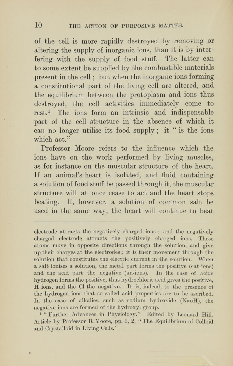 10 THE ACTION OF PURPOSIVE MATTER of the cell is more rapidly destroyed by removing or altering the supply of inorganic ions, than it is by inter¬ fering with the supply of food stuff. The latter can to some extent be supplied by the combustible materials present in the cell ; but when the inorganic ions forming a constitutional part of the living cell are altered, and the equilibrium between the protoplasm and ions thus destroyed, the cell activities immediately come to rest.^ The ions form an intrinsic and indispensable part of the cell structure in the absence of which it can no longer utilise its food supply ; it  is the ions which act. Professor Moore refers to the influence which the ions have on the work performed by living muscles, as for instance on the muscular structure of the heart. If an animal's heart is isolated, and fluid containing a solution of food stuff be passed through it, the muscular structure will at once cease to act and the heart stops beating. If, however, a solution of common salt be used in the same way, the heart will continue to beat electrode attracts the negatively charged ions ; and tlie negatively charged electrode attracts the positively charged ions. These atoms move in opposite directions through the solution, and give up their charges at the electrodes ; it is their movement through the solution that constitutes the electric current in the solution. When a salt ionises a solution, the metal part forms the positive (cat-ions) and the acid part the negative (an-ions). In the case of acids hydrogen forms the positive, thus hydrochloric acid gives the positive, H ions, and the CI the negative. It is, indeed, to the presence of the hydrogen ions that so-called acid projierties are to be ascribed. In the case of alkalies, such as sodium hydroxide (NaoH), the negative ions are formed of the h3'droxyl grouj). 1  Further Advances in Physiology. Edited by Leonard Hill. Article by Professor B. Moore, pp. 1, 2,  The Equilibrium of Colloid and Crystalloid in Livmg Cells.