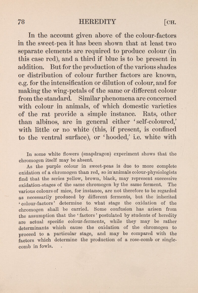 78 HEREDITY [ch. In the account given above of the colour-factors in the sweet-pea it has been shown that at least two separate elements are required to produce colour (in this case red), and a third if blue is to be present in addition. But for the production of the various shades or distribution of colour further factors are known, e.g. for the intensification or dilution of colour, and for making the wing-petals of the same or diíFerent colour from the standard. Similar phenomena are concerned with colour in animals, of which domestic varieties of the rat provide a simple instance. Rats, other than albinos, are in general either 'self-coloured,' with little or no white (this, if present, is confined to the ventral surface), or 'hooded,' i.e. white with In some white flowers (snapdragon) experiment shows that the chromogen itself may be absent. As the purple colour in sweet-peas is due to more complete oxidation of a chromogen than red, so in animals colour-physiologists find that the series yellow, brown, black, may represent successive oxidation-stages of the same chromogen by the same ferment. The various colours of mice, for instance, are not therefore to be regarded as necessarily produced by different ferments, but the inherited ' colour-factors ' determine to what stage the oxidation of the chromogen shall be carried. Some confusion has arisen from the assumption that the ' factors ' postulated by students of heredity are actual specific colour-ferments, while they may be rather determinants which cause the oxidation of the chromogen to proceed to a particular stage, and may be compared with the factors which determine the production of a rose-comb or single- comb in fowls.