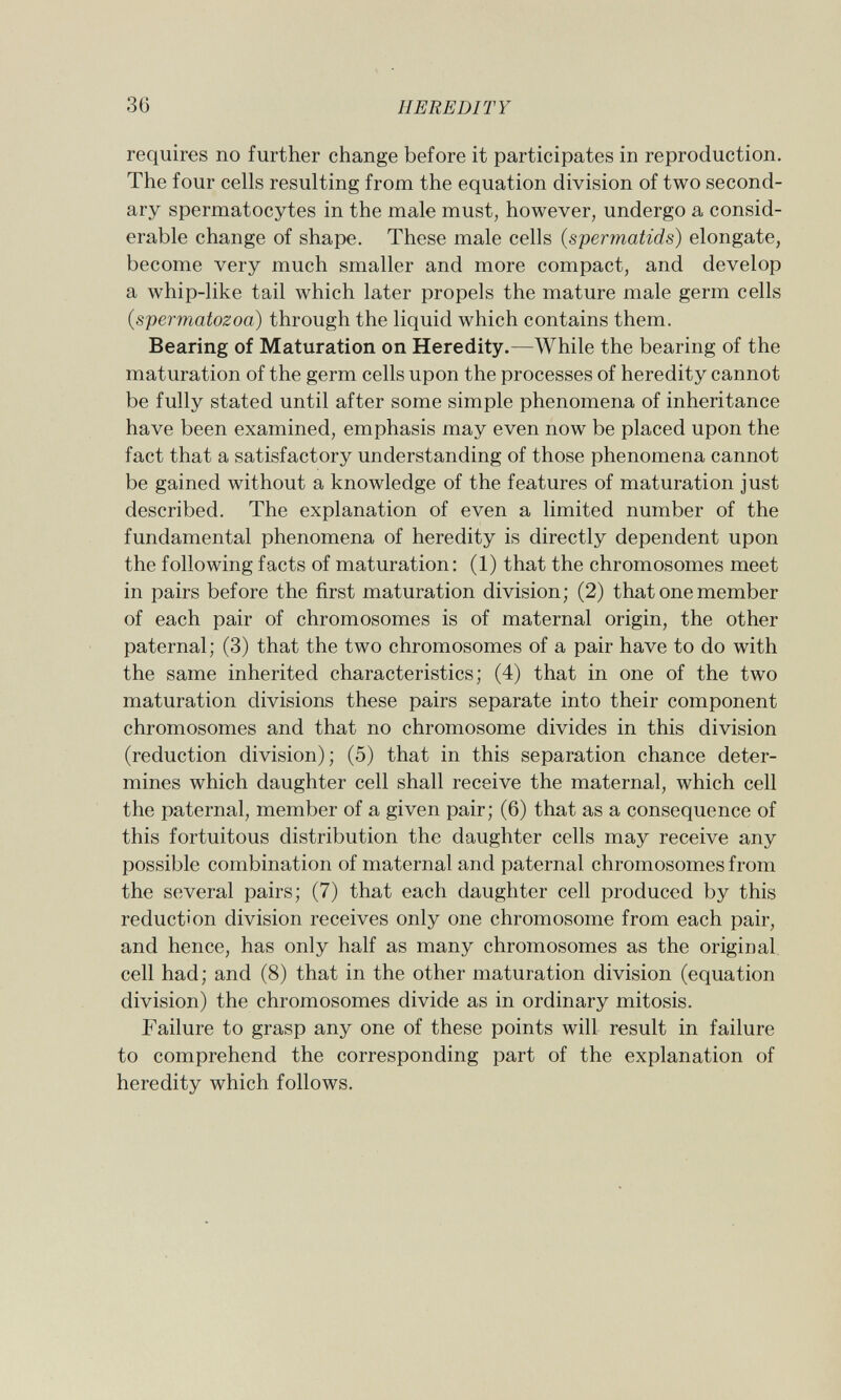 requires no further change before it participates in reproduction. The four cells resulting from the equation division of two second ary spermatocytes in the male must, however, undergo a consid erable change of shape. These male cells ( spermatids ) elongate, become very much smaller and more compact, and develop a whip-like tail which later propels the mature male germ cells (spermatozoa) through the liquid which contains them. Bearing of Maturation on Heredity. —While the bearing of the maturation of the germ cells upon the processes of heredity cannot be fully stated until after some simple phenomena of inheritance have been examined, emphasis may even now be placed upon the fact that a satisfactory understanding of those phenomena cannot be gained without a knowledge of the features of maturation just described. The explanation of even a limited number of the fundamental phenomena of heredity is directly dependent upon the following facts of maturation: (1) that the chromosomes meet in pairs before the first maturation division; (2) that one member of each pair of chromosomes is of maternal origin, the other paternal; (3) that the two chromosomes of a pair have to do with the same inherited characteristics; (4) that in one of the two maturation divisions these pairs separate into their component chromosomes and that no chromosome divides in this division (reduction division); (5) that in this separation chance deter mines which daughter cell shall receive the maternal, which cell the paternal, member of a given pair; (6) that as a consequence of this fortuitous distribution the daughter cells may receive any possible combination of maternal and paternal chromosomes from the several pairs; (7) that each daughter cell produced by this reduction division receives only one chromosome from each pair, and hence, has only half as many chromosomes as the original cell had; and (8) that in the other maturation division (equation division) the chromosomes divide as in ordinary mitosis. Failure to grasp any one of these points will result in failure to comprehend the corresponding part of the explanation of heredity which follows.