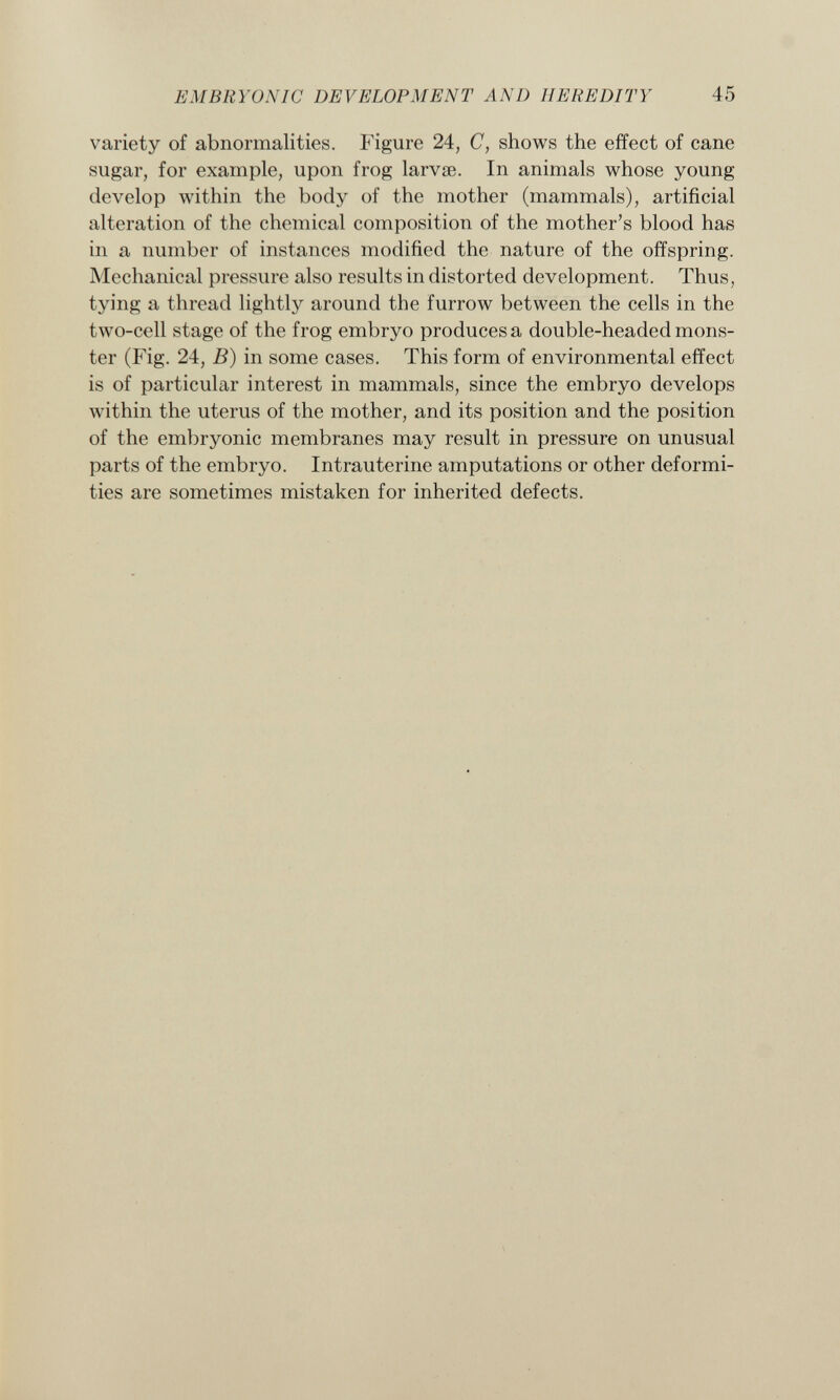 variety of abnormalities. Figure 24, C, shows the effect of cane sugar, for example, upon frog larvte. In animals whose young develop within the body of the mother (mammals), artificial alteration of the chemical composition of the mother's blood has in a number of instances modified the nature of the offspring. Mechanical pressure also results in distorted development. Thus, tying a thread lightly around the furrow between the cells in the two-cell stage of the frog embryo produces a double-headed mons ter (Fig. 24, B) in some cases. This form of environmental effect is of particular interest in mammals, since the embryo develops within the uterus of the mother, and its position and the position of the embryonic membranes may result in pressure on unusual parts of the embryo. Intrauterine amputations or other deformi ties are sometimes mistaken for inherited defects.