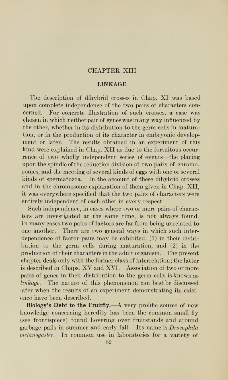 CHAPTER XIII LINKAGE The description of dihybrid crosses in Chap. XI was based upon complete independence of the two pairs of characters con cerned. For concrete illustration of such crosses, a case was chosen in which neither pair of genes was in any way influenced by the other, whether in its distribution to the germ cells in matura tion, or in the production of its character in embryonic develop ment or later. The results obtained in an experiment of this kind were explained in Chap. XII as due to the fortuitous occur rence of two wholly independent series of events—the placing upon the spindle of the reduction division of two pairs of chromo somes, and the meeting of several kinds of eggs with one or several kinds of spermatozoa. In the account of these dihybrid crosses and in the chromosome explanation of them given in Chap. XII, it was everywhere specified that the two pairs of characters were entirely independent of each other in every respect. Such independence, in cases where two or more pairs of charac ters are investigated at the same time, is not always found. In many cases two pairs of factors are far from being unrelated to one another. There are two general ways in which such inter dependence of factor pairs may be exhibited, (1) in their distri bution to the germ cells during maturation, and (2) in the production of their characters in the adult organism. The present chapter deals only with the former class of interrelation; the latter is described in Chaps. XV and XVI. Association of two or more pairs of genes in their distribution to the germ cells is known as linkage. The nature of this phenomenon can best be discussed later when the results of an experiment demonstrating its exist ence have been described. Biology's Debt to the Fruitfly.— A very prolific source of new knowledge concerning heredity has been the common small fly (see frontispiece) found hovering over fruitstands and around garbage pails in summer and early fall. Its name is Drosophila melanogaster. In common use in laboratories for a variety of 82