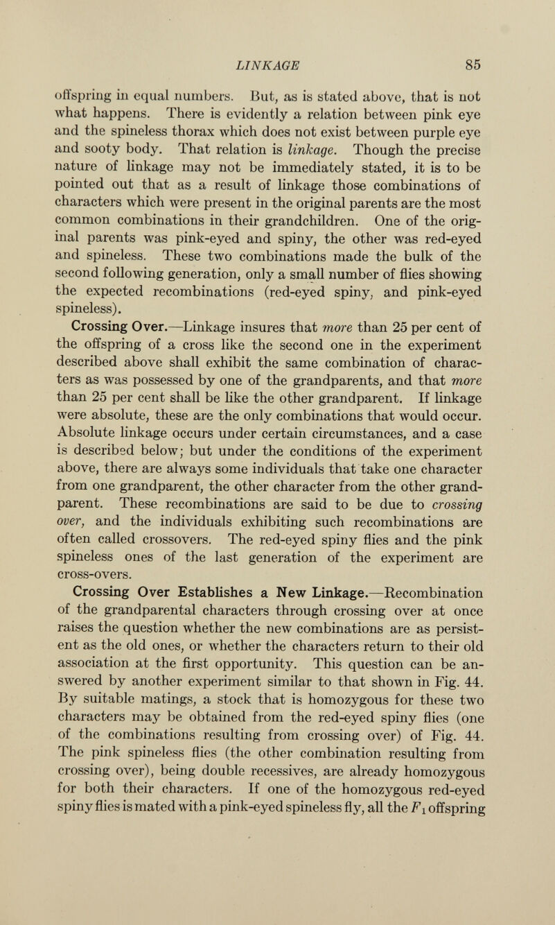 offspring in equal numbers. But, as is stated above, that is not what happens. There is evidently a relation between pink eye and the spineless thorax which does not exist between purple eye and sooty body. That relation is linkage. Though the precise nature of linkage may not be immediately stated, it is to be pointed out that as a result of linkage those combinations of characters which were present in the original parents are the most common combinations in their grandchildren. One of the orig inal parents was pink-eyed and spiny, the other was red-eyed and spineless. These two combinations made the bulk of the second following generation, only a small number of flies showing the expected recombinations (red-eyed spiny, and pink-eyed spineless). Crossing Over. —Linkage insures that more than 25 per cent of the offspring of a cross like the second one in the experiment described above shall exhibit the same combination of charac ters as was possessed by one of the grandparents, and that more than 25 per cent shall be like the other grandparent. If linkage were absolute, these are the only combinations that would occur. Absolute linkage occurs under certain circumstances, and a case is described below; but under the conditions of the experiment above, there are always some individuals that take one character from one grandparent, the other character from the other grand parent. These recombinations are said to be due to crossing over, and the individuals exhibiting such recombinations are often called crossovers. The red-eyed spiny flies and the pink spineless ones of the last generation of the experiment are cross-overs. Crossing Over Establishes a New Linkage. —Recombination of the grandparental characters through crossing over at once raises the question whether the new combinations are as persist ent as the old ones, or whether the characters return to their old association at the first opportunity. This question can be an swered by another experiment similar to that shown in Fig. 44. By suitable matings, a stock that is homozygous for these two characters may be obtained from the red-eyed spiny flies (one of the combinations resulting from crossing over) of Fig. 44. The pink spineless flies (the other combination resulting from crossing over), being double récessives, are already homozygous for both their characters. If one of the homozygous red-eyed spiny flies is mated with a pink-eyed spineless fly, all the F x offspring