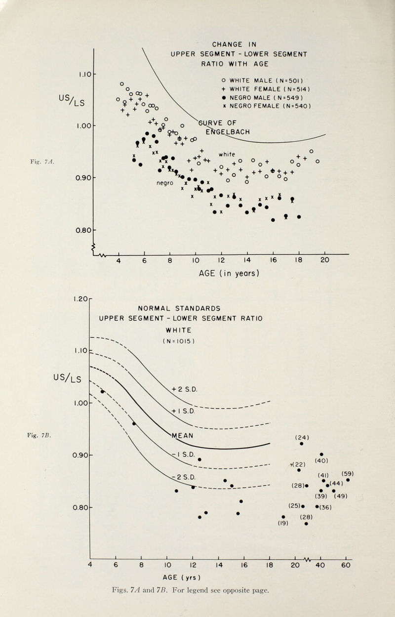 US/ Fig. TA. 1.10 LS 1.00 0.90 CHANGE IN UPPER SEGMENT - LOWER SEGMENT RATIO WITH AGE о WHITE MALE ( N = 501 ) + WHITE FEMALE { N = 514) • NEGRO MALE (N=549) X NEGRO FEMALE (N = 540) 6URVE OF ^GELBACH о + о ^ negro . white + +■*■«■*■ ++ ^ + + + X • • X ° О и ^ X X • X 4 X • • X X X X * 0.80 10 12 14 AGE ( in years) 16 18 20 1.20 NORMAL STANDARDS UPPER SEGMENT - LOWER SEGMENT RATIO WHITE (N = 1015) I.IO - US/ls Fig. IB. 1.00 0.90- 0.80- (24) .T(22) (40) (41) (59) (28)* *«(44) • • • (39) (49) (25)» »(36) • (28) (19) • 10 12 AGE { yrs ) 14 16 18 J—vv—L- 20 40 60 Figs. 1A and IB. For legend see opposite page.