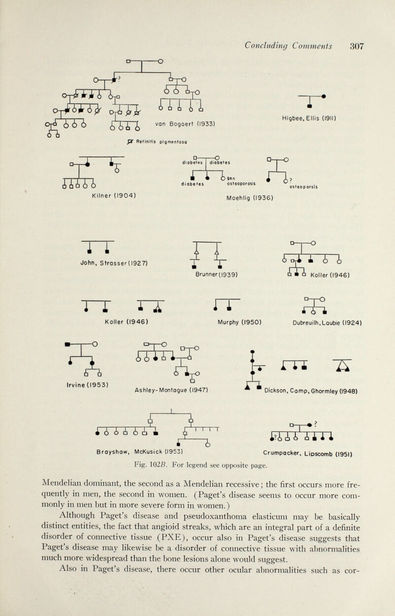 Concluding Comments 307 AU U °¿oT2> i ¿i ¿ van Bogoert (1933) рГ Retinitis pigmentoso т fîul Kilner (1904) diabetes diabetes jnn. T Hígbee, Ellis (191!) diobetes sen osteoporosis Q-p-O osteoporsis Moehiig (1936) TT John, Strasser(l927) Brunner(i939) ¿ai i i ¿Ai Koller (1946) ГТ Koller (1946) ГГ Murphy (1950) -О iò~~l Dubreuilh.Loubie (1924) Ò Ò Irvine (1953) D-rO ШТ1-Х Ashley-Montague (1947) n m 75: Dickson, Comp, Ghormley (1948) í A ¿ ¿ ¿ ¿ ¿» i Broyshaw, McKusicl^ (1953) Ъ iîAii AiU Crumpocker, Lioscomb (1951) Fig. \02B. For legend see opposite page. Mendelian dominant, the second as a Mendelian recessive ; the first occurs more fre¬ quently in men, the second in women. (Paget's disease seems to occur more com¬ monly in men but in more severe form in women.) Although Paget's disease and pseudoxanthoma elasticum may be basically distinct entities, the fact that angioid streaks, which are an integral part of a definite disorder of connective tissue (PXE), occur also in Paget's disease suggests that Paget's disease may likewise be a disorder of connective tissue with abnormalities much more widespread than the bone lesions alone would suggest. Also in Paget's disease, there occur other ocular abnormalities such as cor-