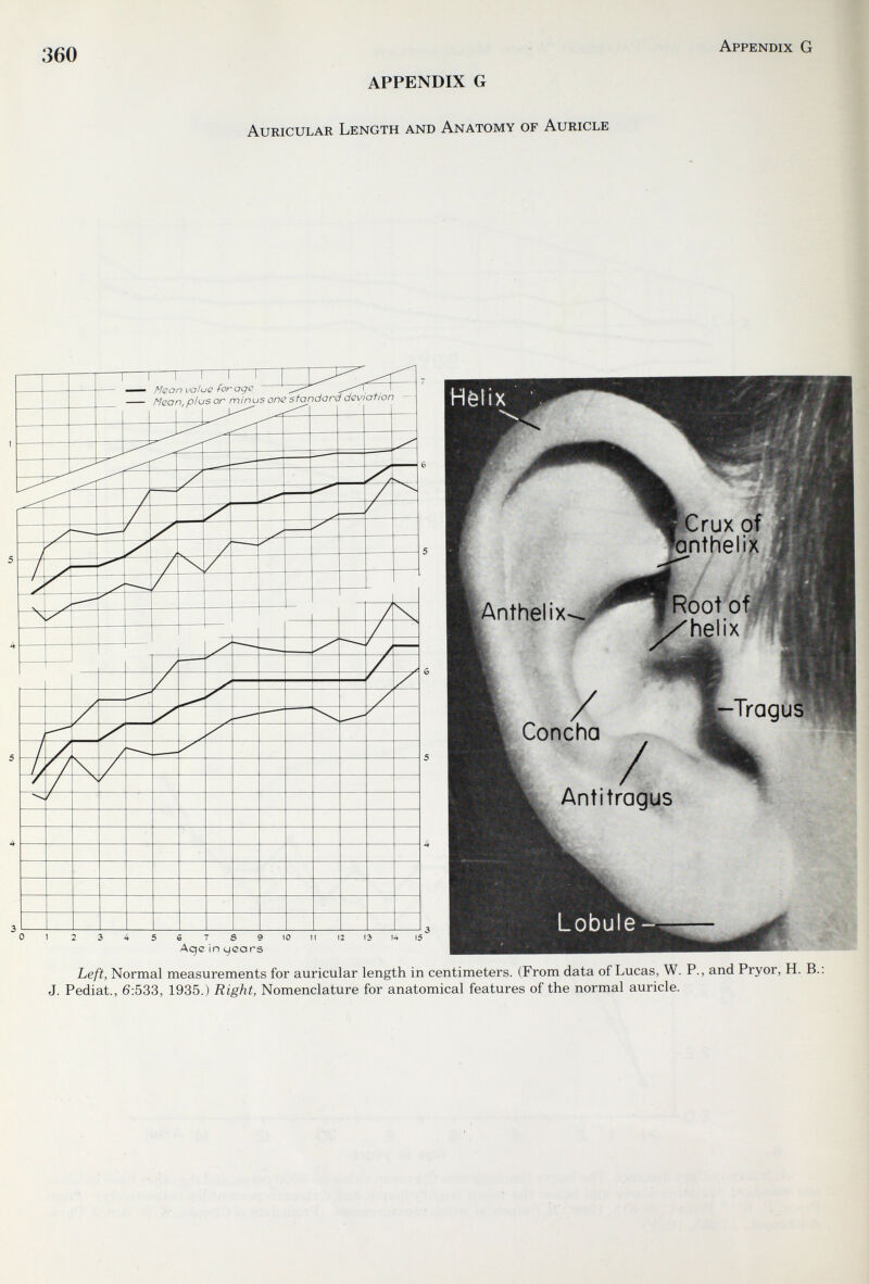 360 APPENDIX G Auricular Length and Anatomy of Auricle Appendix G Left, Normal measurements for auricular length in centimeters. (From data of Lucas, W. P., and Pryor, H. B. J. Pediat., 6:533, 1935.) Right, Nomenclature for anatomical features of the normal auricle.