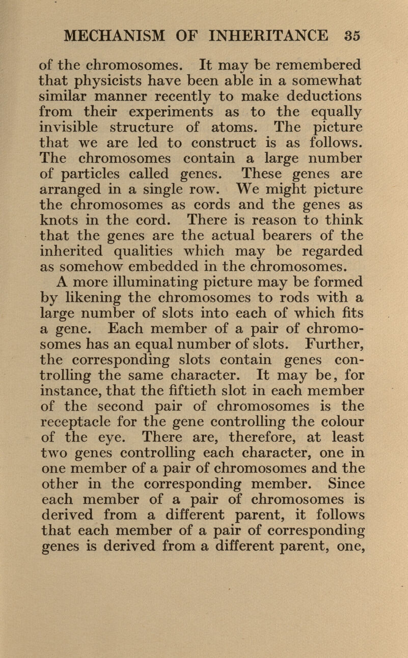 of the chromosomes. It may be remembered that physicists have been able in a somewhat similar manner recently to make deductions from their experiments as to the equally invisible structure of atoms. The picture that we are led to construct is as follows. The chromosomes contain a large number of particles called genes. These genes are arranged in a single row. We might picture the chromosomes as cords and the genes as knots in the cord. There is reason to think that the genes are the actual bearers of the inherited qualities which may be regarded as somehow embedded in the chromosomes. A more illuminating picture may be formed by likening the chromosomes to rods with a large number of slots into each of which fits a gene. Each member of a pair of chromo somes has an equal number of slots. Further, the corresponding slots contain genes con trolling the same character. It may be, for instance, that the fiftieth slot in each member of the second pair of chromosomes is the receptacle for the gene controlling the colour of the eye. There are, therefore, at least two genes controlling each character, one in one member of a pair of chromosomes and the other in the corresponding member. Since each member of a pair of chromosomes is derived from a different parent, it follows that each member of a pair of corresponding genes is derived from a different parent, one,