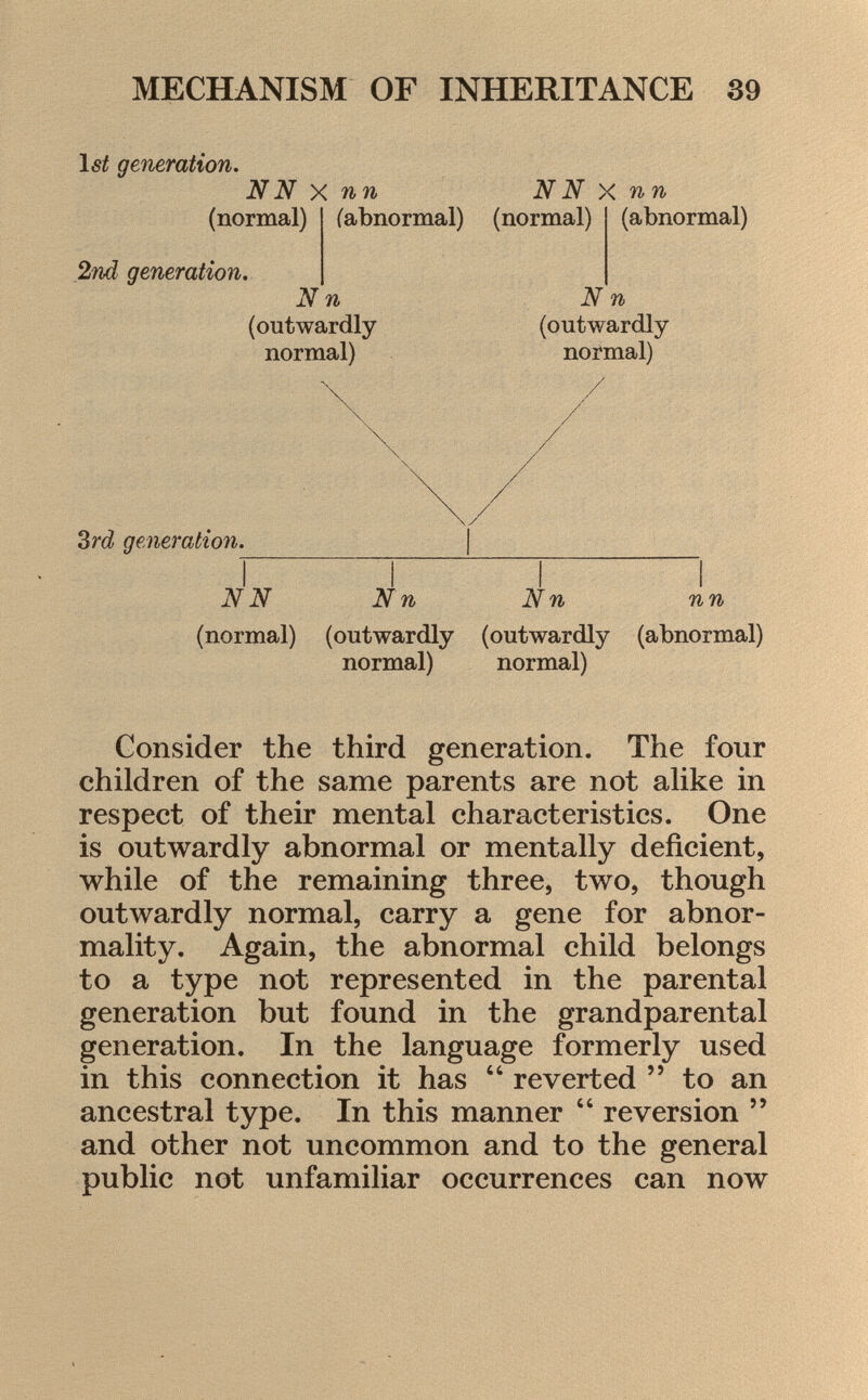 1st generation. NN X nn N N X nn (normal) 2nd generation. fabnormal) (normal) (abnormal) N n (outwardly normal) N n (outwardly normal) 3rd generation. NN Nn N n nn (normal) (outwardly (outwardly (abnormal) normal) normal) Consider the third generation. The four children of the same parents are not alike in respect of their mental characteristics. One is outwardly abnormal or mentally deficient, while of the remaining three, two, though outwardly normal, carry a gene for abnor mality. Again, the abnormal child belongs to a type not represented in the parental generation but found in the grandparental generation. In the language formerly used in this connection it has  reverted  to an ancestral type. In this manner  reversion  and other not uncommon and to the general public not unfamiliar occurrences can now