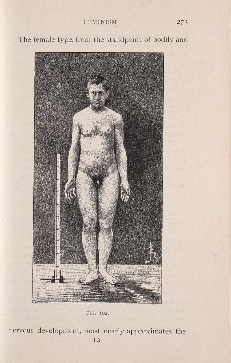 FEMINISM 2/3 The female type, from the standpoint of bodily and FIG. 102. nervous development, most nearly approximates the 19