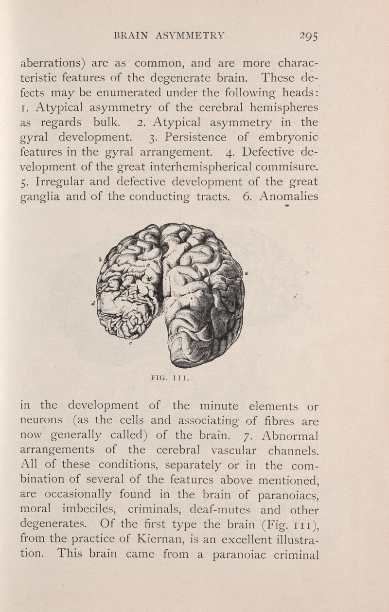 BRAIN ASYMMETRY 295 aberrations) are as common, and are more charac¬ teristic features of the degenerate brain. These de¬ fects may be enumerated under the following heads : I. Atypical asymmetry of the cerebral hemispheres as regards bulk. 2. Atypical asymmetry in the gyral development. 3. Persistence of embryonic features in the gyral arrangement. 4. Defectiv'^e de¬ velopment of the great interhemispherical commisure. 5. Irregular and defective development of the great ganglia and of the conducting tracts. 6. Anomalies FIG. III. in the development of the minute elements or neurons (as the celb and associating of fibres are now generally called) of the brain. 7. Abnormal arrangements of the cerebral vascular channels. All of these conditions, separately or in the com¬ bination of several of the features above mentioned, are occasionally found in the brain of paranoiacs, moral imbeciles, criminals, deaf-mutes and other degenerates. Of the first type the brain (Fig. iii), from the practice of Kiernan, is an excellent illustra¬ tion. This brain came from a paranoiac criminal