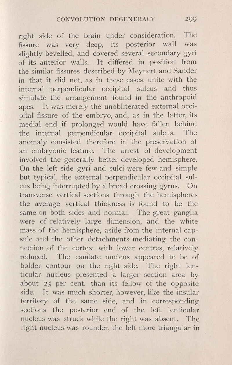 CONVOLUTION DEGENERACY 299 right side of the brain under consideration. The fissure was very deep, its posterior wall was slightly bevelled, and covered several secondary gyri of its anterior walls. It differed in position from the similar fissures described by Meynert and Sander in that it did not, as in these cases, unite with the internal perpendicular occipital sulcus and thus simulate the arrangement found in the anthropoid apes. It was merely the unobliterated external occi¬ pital fissure of the embryo, and, as in the latter, its medial end if prolonged would have fallen behind the internal perpendicular occipital sulcus. The anomaly consisted therefore in the preservation of an embryonic feature. The arrest of development involved the generally better developed hemisphere. On the left side gyri and sulci were few and simple but typical, the external perpendicular occipital sul¬ cus being interrupted by a broad crossing gyrus. On transverse vertical sections through the hemispheres the average vertical thickness is found to be the same on both sides and normal. The great ganglia were of relatively large dimension, and the white mass of the hemisphere, aside from the internal cap¬ sule and the other detachments mediating the con¬ nection of the cortex with lower centres, relatively reduced. The caudate nucleus appeared to be of bolder contour on the right side. The right len¬ ticular nucleus presented a larger section area by about 25 per cent, than its fellow of the opposite side. It was much shorter, however, like the insular territory of the same side, and in corresponding sections the posterior end of the left lenticular nucleus was struck while the right was absent. The right nucleus was rounder, the left more triangular in