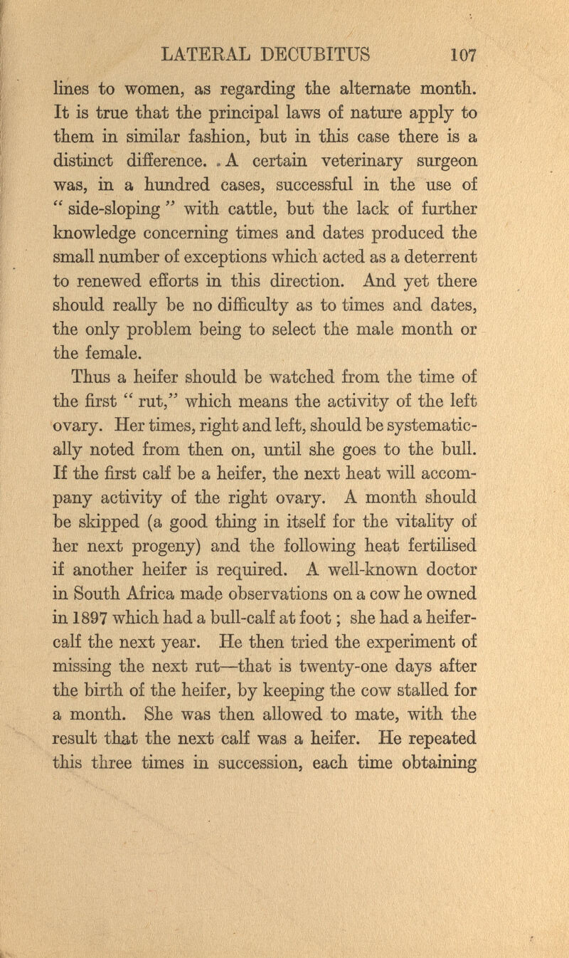 LATEEAL DECUBITUS 107 lines to women, as regarding the alternate month. It is true that the principal laws of nature apply to them in similar fashion, but in this case there is a distinct difíerence. .A certain veterinary surgeon was, in a hundred cases, successful in the use of  side-sloping  with cattle, but the lack of further knowledge concerning times and dates produced the small number of exceptions which acted as a deterrent to renewed efíorts in this direction. And yet there should really be no difficulty as to times and dates, the only problem being to select the male month or the female. Thus a heifer should be watched from the time of the first  rut, which means the activity of the left ovary. Her times, right and left, should be systematic¬ ally noted from then on, until she goes to the bull. If the first calf be a heifer, the next heat will accom¬ pany activity of the right ovary. A month should be skipped (a good thing in itself for the vitality of her next progeny) and the following heat fertilised if another heifer is required. A well-known doctor in South Africa madß observations on a cow he owned in 1897 which had a bull-calf at foot ; she had a heifer- calf the next year. He then tried the experiment of missing the next rut—that is twenty-one days after the birth of the heifer, by keeping the cow stalled for a month. She was then allowed to mate, with the result that the next calf was a heifer. He repeated this three times in succession, each time obtaining