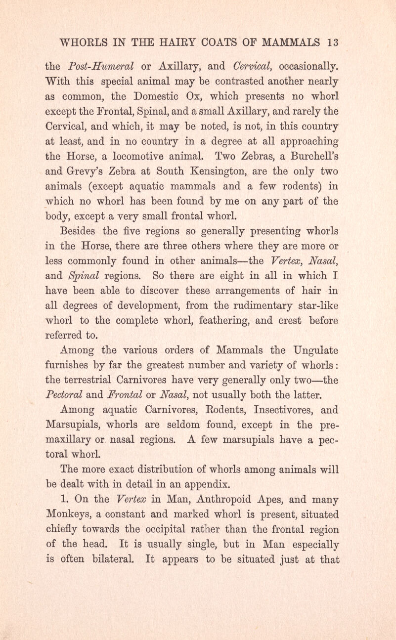 WHOELS IN THE HAIEY COATS OF MAMMALS 13 the Post-Humeral or Axillary, and Cervical, occasionally. With this special animal may be contrasted another nearly as common, the Domestic Ox, which presents no whorl except the Frontal, Spinal, and a small Axillary, and rarely the Cervical, and which, it may be noted, is not, in this country at least, and in no country in a degree at all approaching the Horse, a locomotive animal. Two Zebras, a Burchell's and Grevy's Zebra at South Kensington, are the only two animals (except aquatic mammals and a few rodents) in which no whorl has been found by me on any part of the body, except a very small frontal whorl. Besides the five regions so generally presenting whorls in the Horse, there are three others where they are more or less commonly found in other animals—the Vertex, Nasal, and Spinal regions. So there are eight in all in which I have been able to discover these arrangements of hair in all degrees of development, from the rudimentary star-like whorl to the complete whorl, feathering, and crest before referred to. Among the various orders of Mammals the Ungulate furnishes by far the greatest number and variety of whorls : the terrestrial Carnivores have very generally only two—the Pectoral and Frontal or Nasal, not usually both the latter. Among aquatic Carnivores, Eodents, Insectivores, and Marsupials, whorls are seldom found, except in the pre- maxillary or nasal regions. A few marsupials have a pec¬ toral whorl. The more exact distribution of whorls among animals will be dealt with in detail in an appendix. 1. On the Vertex in Man, Anthropoid Apes, and many Monkeys, a constant and marked whorl is present, situated chiefly towards the occipital rather than the frontal region of the head. It is usually single, but in Man especially is often bilateral. It appears to be situated just at that
