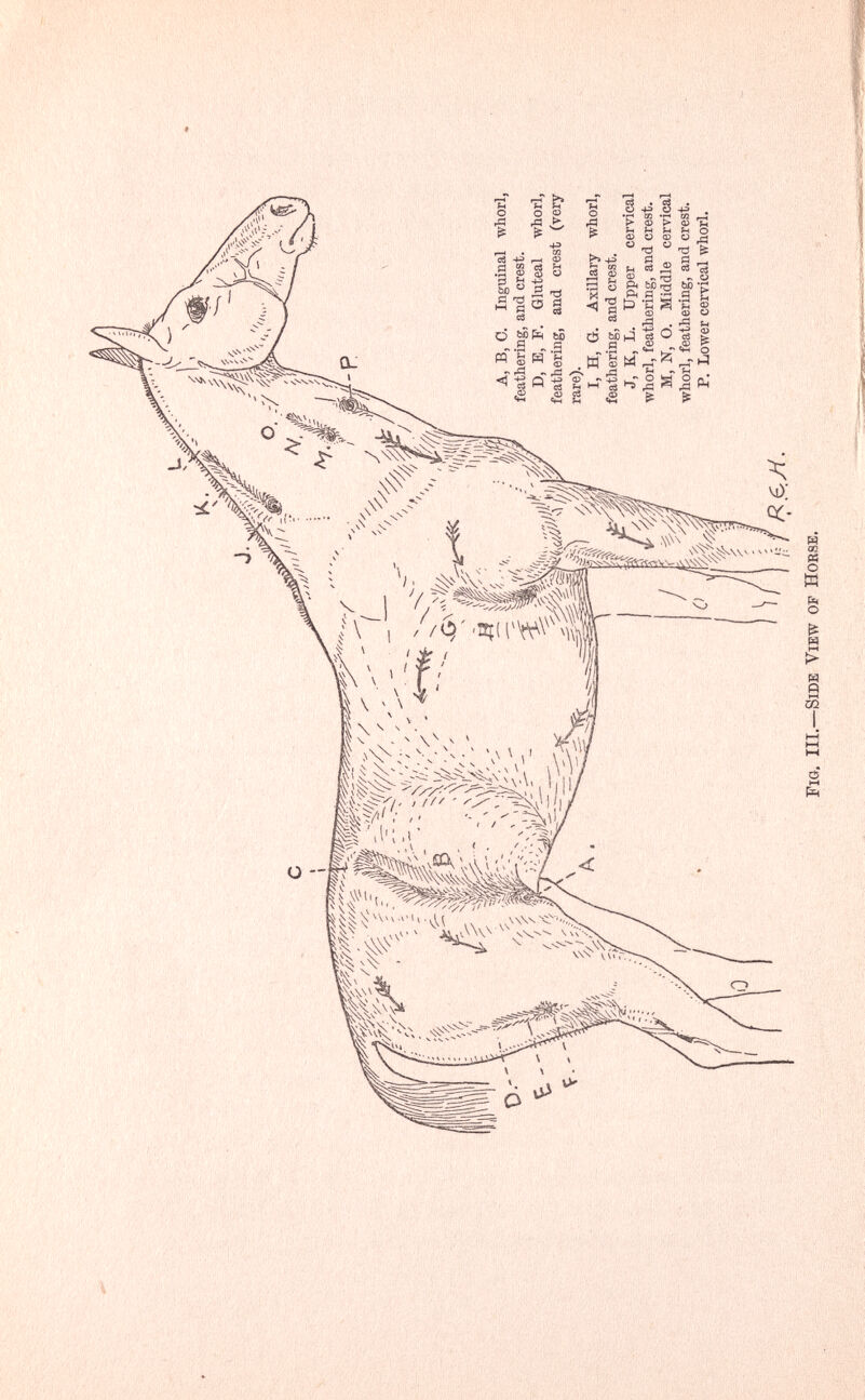 * ёМ'ШШШ' - ■■-v ■■ ■■-;Й-^ ' I /■v:>vv;'v::?'^