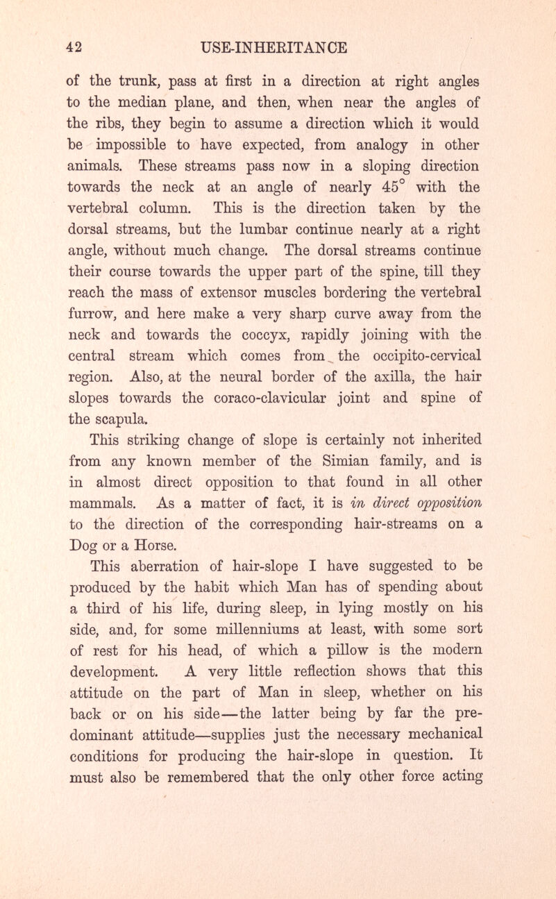 42 USE-INHEEITANCE of the trunk, pass at first in a direction at right angles to the median plane, and then, when near the angles of the ribs, they begin to assume a direction which it would be impossible to have expected, from analogy in other animals. These streams pass now in a sloping direction towards the neck at an angle of nearly 45° with the vertebral column. This is the direction taken by the dorsal streams, but the lumbar continue nearly at a right angle, without much change. The dorsal streams continue their course towards the upper part of the spine, till they reach the mass of extensor muscles bordering the vertebral furrow, and here make a very sharp curve away from the neck and towards the coccyx, rapidly joining with the central stream which comes from. the occipito-cervical region. Also, at the neural border of the axilla, the hair slopes towards the coraco-clavicular joint and spine of the scapula. This striking change of slope is certainly not inherited from any known member of the Simian family, and is in almost direct opposition to that found in all other mammals. As a matter of fact, it is in direct op'position to the direction of the corresponding hair-streams on a Dog or a Horse. This aberration of hair-slope I have suggested to be produced by the habit which Man has of spending about a third of his life, during sleep, in lying mostly on his side, and, for some millenniums at least, with some sort of rest for his head, of which a pillow is the modern development. A very little reflection shows that this attitude on the part of Man in sleep, whether on his back or on his side—the latter being by far the pre¬ dominant attitude—supplies just the necessary mechanical conditions for producing the hair-slope in question. It must also be remembered that the only other force acting