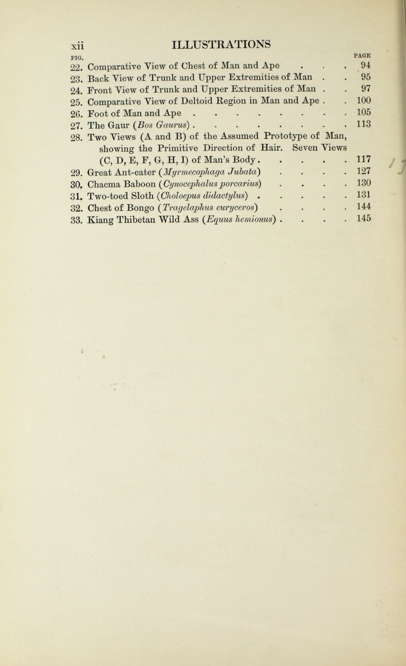 xii ILLUSTRATIONS FIG. PAGR 22. Comparative Yie\v of Chest of Man and Ape ... 94 23. Back Yiew of Trunk and Upper Extremities of Man . . 95 24. Front View of Trunk and Upper Extremities of Man . . 97 25. Comparative View of Deltoid Eegion in Man and Ape . , 100 26. Foot of Man and Ape 105 27. The Gaur (^Bos Gaurus) . . . . . . . .113 28. Two Views (A and B) of the Assumed Prototype of Man, showing the Primitive Direction of Hair. Seven Views (C, D, E, F, Gr, H, I) of Man's Body 117 29. Great Ant-eater (^Myrmecophaga Jubata) .... 127 30. Chacma Baboon (^Cynocephalusporcarius) .... 130 31. Two-toed Sloth {Gholoepus didactylus) ..... 131 32. oí'Bongo (^Tragelaphus euryceros) .... 144 33. Kiang Thibetan Wild Ass (Equus liemionus) .... 145 »