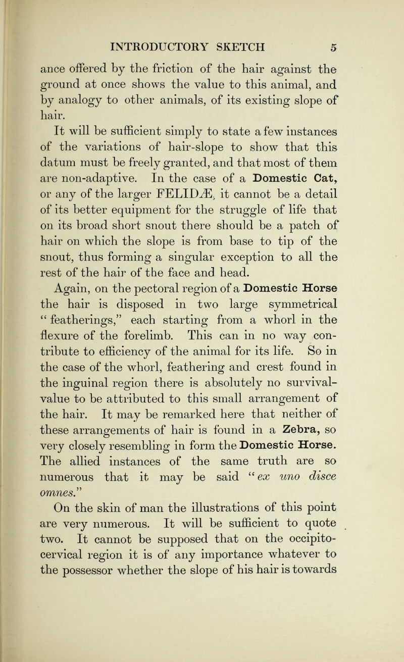 INTRODUCTORY SKETCH 5 ance offered by the friction of the hair against the ground at once shows the value to this animal, and by analogy to other animals, of its existing slope of hair. It will be sufficient simply to state a few instances of the variations of hair-slope to show that this datum must be freely granted, and that most of them are non-adaptive. In the case of a Domestic Cat, or any of the larger FELID^^ it cannot be a detail of its better equipment for the struggle of life that on its broad short snout there should be a patch of hair on which the slope is from base to tip of the snout, thus forming a singular exception to all the rest of the hair of the face and head. Again, on the pectoral region of a Domestic Horse the hair is disposed in two large symmetrical  featherings, each starting from a whorl in the flexure of the forelimb. This can in no way con¬ tribute to efficiency of the animal for its life. So in the case of the whorl, feathering and crest found in the inguinal region there is absolutely no survival- value to be attributed to this small arrangement of the hair. It may be remarked here that neither of these arrangements of hair is found in a Zebra, so very closely resembling in form the Domestic Horse. The allied instances of the same truth are so numerous that it may be said  ex uno disce omnesr On the skin of man the illustrations of this point are very numerous. It will be sufficient to quote two. It cannot be supposed that on the occipito¬ cervical region it is of any importance whatever to the possessor whether the slope of his hair is towards
