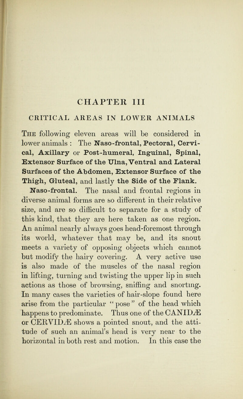 CHAPTER m CRITICAL AREAS IN LOWER ANIMALS The following eleven areas will be considered in lower animals : The Naso-frontal, Pectoral, Cervi¬ cal, Axillary or Post-humeral, Inguinal, Spinal, Extensor Surface of the Ulna, Ventral and Lateral Surfaces of the Abdomen, Extensor Surface of the Thigh, Gluteal, and lastly the Side of the Flank. Naso-frontal. The nasal and frontal regions in diverse animal forms are so different in their relative size, and are so difficult to separate for a stud}? of this kind, that they are here taken as one region. An animal nearly always goes head-foremost through its world, whatever that may be, and its snout meets a variety of opposing objects which cannot but modify the hairy covering. A very active use is also made of the muscles of the nasal region in lifting, turning and twisting the upper lip in such actions as those of browsing, sniffing and snorting. In many cases the varieties of hair-slope found here arise from the particular  pose  of the head which happens to predominate. Thus one of the CANIDA or shows a pointed snout, and the atti¬ tude of such an animal's head is very near to the horizontal in both rest and motion. In this case the
