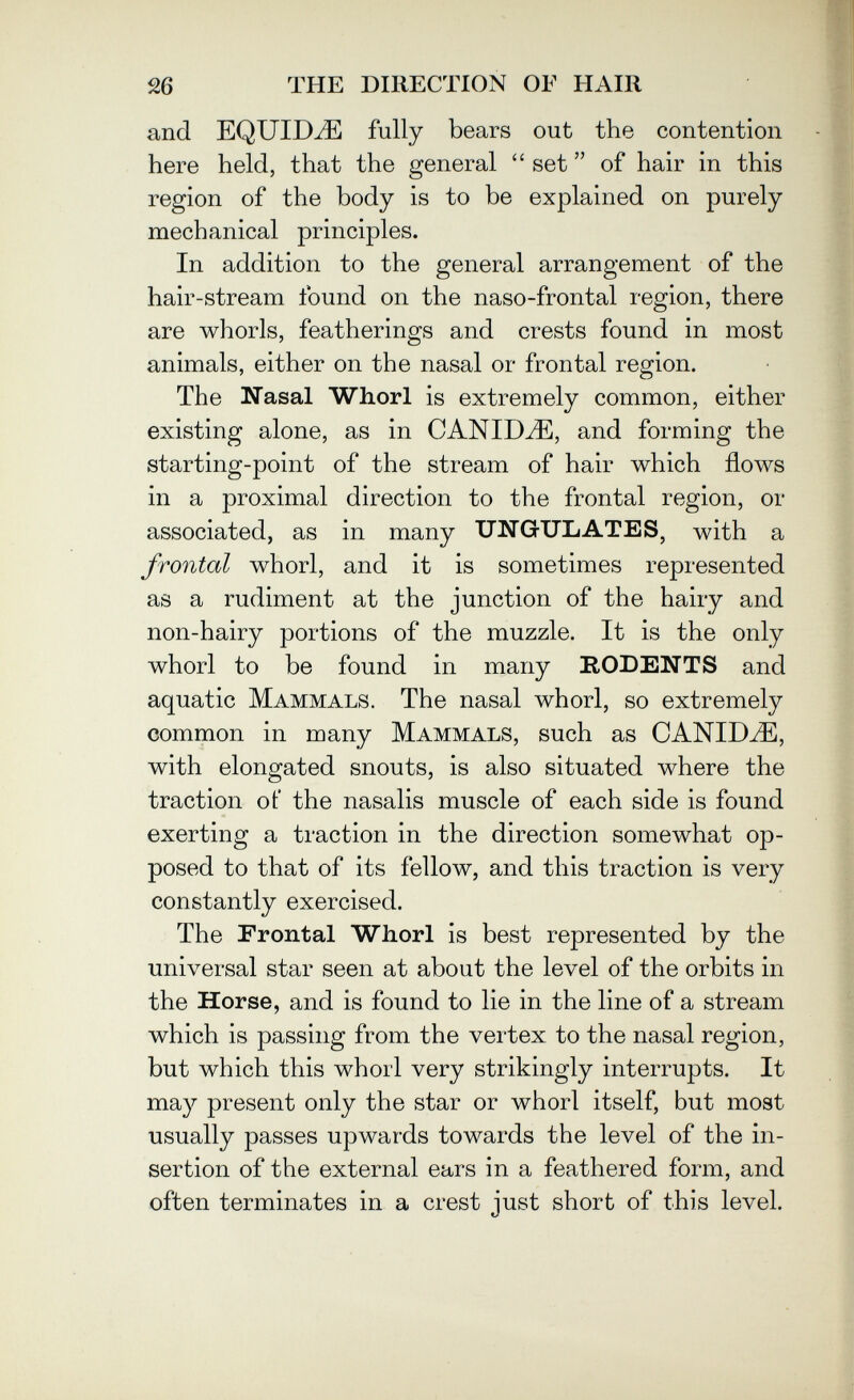 THE DIRECTION OF HAIR and EQUID^ bears out the contention here held, that the general set  of hair in this region of the body is to be explained on purely mechanical principles. In addition to the general arrangement of the hair-stream found on the naso-frontal region, there are whorls, featherings and crests found in most animals, either on the nasal or frontal region. The Nasal Whorl is extremely common, either existing alone, as in CANIDA, and forming the starting-point of the stream of hair which flows in a proximal direction to the frontal region, or associated, as in many UNGULATES, with a frontal whorl, and it is sometimes represented as a rudiment at the junction of the hairy and non-hairy portions of the muzzle. It is the only whorl to be found in many RODENTS and aquatic Mammals. The nasal whorl, so extremely common in many Mammals, such as CANIDA, with elongated snouts, is also situated where the traction of the nasalis muscle of each side is found exerting a traction in the direction somewhat op¬ posed to that of its fellow, and this traction is very constantly exercised. The Frontal Whorl is best represented by the universal star seen at about the level of the orbits in the Horse, and is found to lie in the line of a stream which is passing from the vertex to the nasal region, but which this whorl very strikingly interrupts. It may present only the star or whorl itself, but most usually passes upwards towards the level of the in¬ sertion of the external ears in a feathered form, and often terminates in a crest just short of this level.