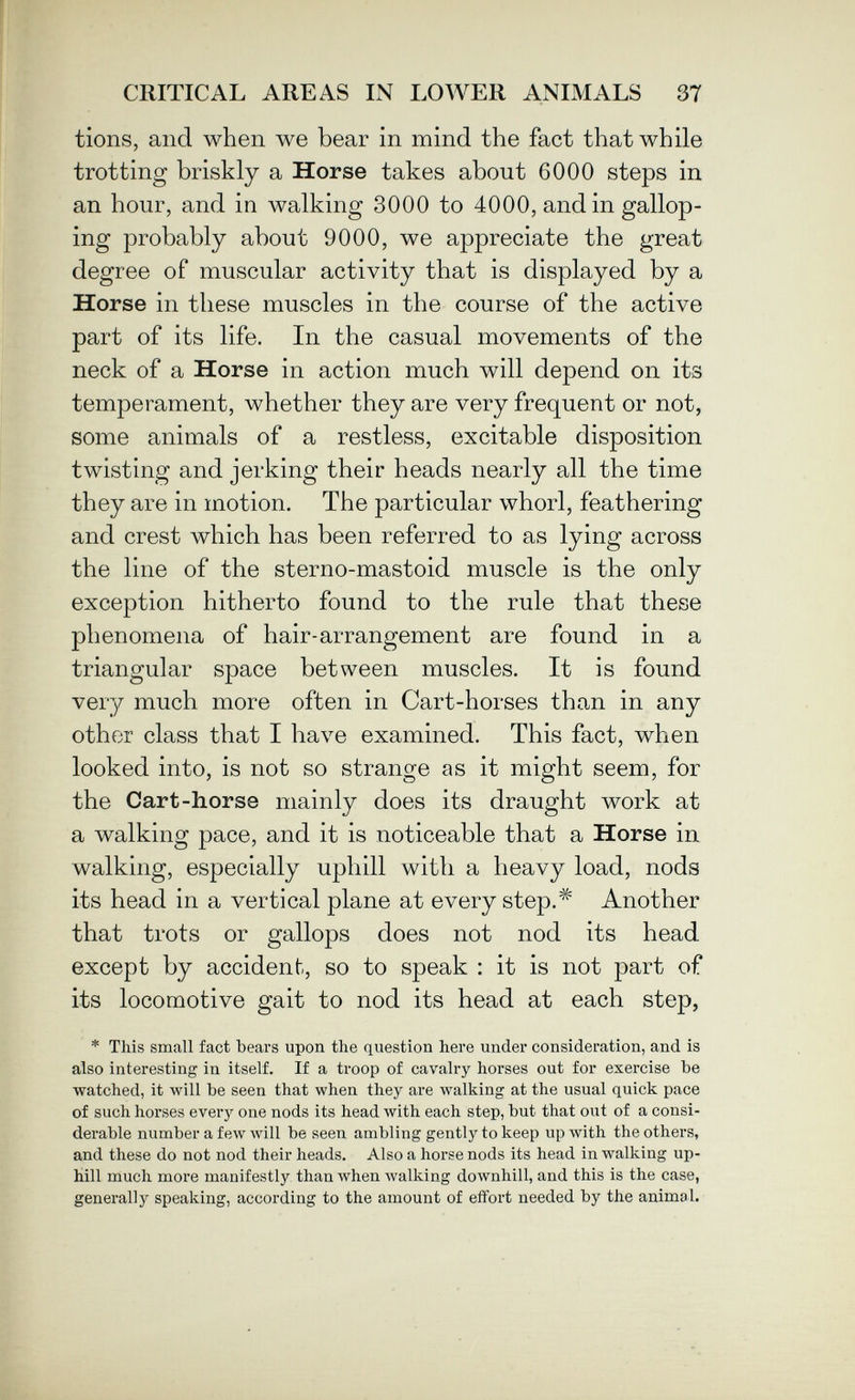 CRITICAL AREAS IN LOWER ANIMALS 37 tions, and when we bear in mind the fact that while trotting briskly a Horse takes about 6000 steps in an hour, and in walking 3000 to 4000, and in gallop¬ ing probably about 9000, we appreciate the great degree of muscular activity that is displayed by a Horse in these muscles in the course of the active part of its life. In the casual movements of the neck of a Horse in action much will depend on its temperament, whether they are very frequent or not, some animals of a restless, excitable disposition twisting and jerking their heads nearly all the time they are in motion. The particular whorl, feathering and crest which has been referred to as lying across the line of the sterno-mastoid muscle is the only exception hitherto found to the rule that these phenomena of hair-arrangement are found in a triangular space between muscles. It is found very much more often in Cart-horses than in any other class that I have examined. This fact, when looked into, is not so strange as it might seem, for the Cart-horse mainly does its draught work at a walking pace, and it is noticeable that a Horse in walking, especially uphill with a heavy load, nods its head in a vertical plane at every step.^ Another that trots or gallops does not nod its head except by accident, so to speak : it is not part of its locomotive gait to nod its head at each step, * This small fact bears upon the question here under consideration, and is also interesting in itself. If a troop of cavalry horses out for exercise be watched, it will be seen that when they are walking at the usual quick pace of such horses every one nods its head with each step, but that out of a consi¬ derable number a few will be seen ambling gently to keep up with the others, and these do not nod their heads. Also a horse nods its head in walking up¬ hill much more manifestly than when walking downhill, and this is the case, generally speaking, according to the amount of effort needed by the anima l.