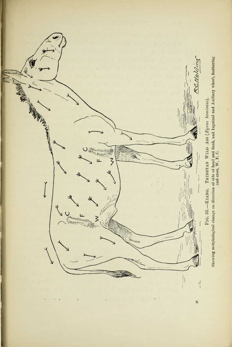 be 5 ТЗ а> Л гЗ О о s и S ^ 5 'd я 1^ еЗ *5^ сЗ ä Í2 *3 ::: ьо 5 'Ö а cä Д с5 !Ö <¡ H H M ьн II H -rî c3 KJ' «W ^ Д «И 0 ^ a» 1 *03 *0 =tH Ö О rt . d c5 .2 5 о <5 <v M ^ M ^ l s со с? со bß . d C5 5 S 2 0Û О 3 л ьо d гЛ К