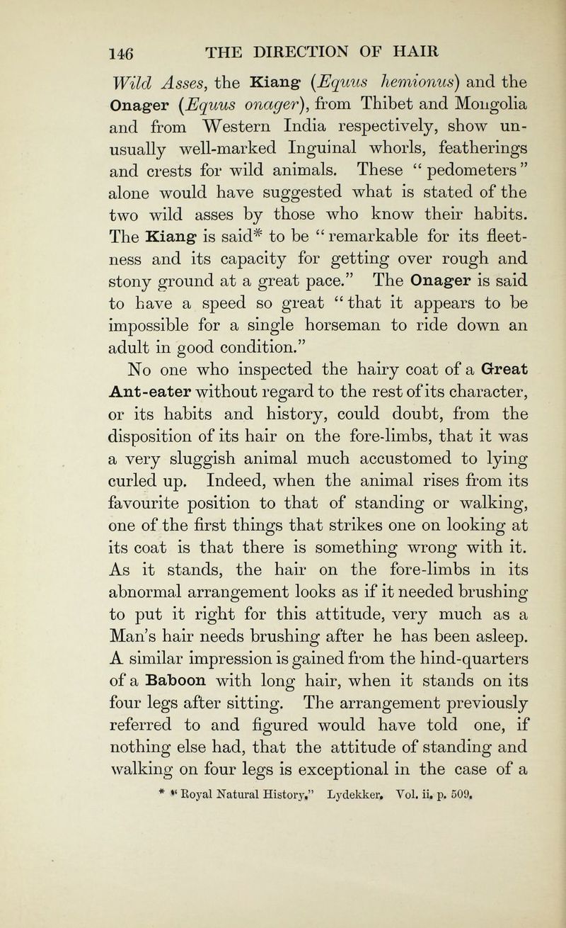 146 THE DIRECTION OF HAIR Wild Asses, the Kiang [Equus hemionus) and the Onager (Equus onager), from Thibet and Mongolia and from Western India respectively, show un¬ usually well-marked Inguinal whorls, featherings and crests for wild animals. These pedometers alone would have suggested what is stated of the two wild asses by those who know their habits. The Kiang is said^ to be remarkable for its fleet- ness and its capacity for getting over rough and stony ground at a great pace. The Onager is said to have a speed so great that it appears to be impossible for a single horseman to ride down an adult in good condition. No one who inspected the hairy coat of a Great Ant-eater without regard to the rest of its character, or its habits and history, could doubt, from the disposition of its hair on the fore-limbs, that it was a very sluggish animal much accustomed to lying curled up. Indeed, when the animal rises from its favourite position to that of standing or walking, one of the first things that strikes one on looking at its coat is that there is something wrong with it. As it stands, the hair on the fore-limbs in its abnormal arrangement looks as if it needed brushing to put it right for this attitude, very much as a Man's hair needs brushing after he has been asleep. A similar impression is gained from the hind-quarters of a Baboon with long hair, when it stands on its four legs after sitting. The arrangement previously referred to and figured would have told one, if nothing else had, that the attitude of standing and walking on four legs is exceptional in the case of a * ♦' Koyal Natural History, Lydekker, Vol. iii p. 509,