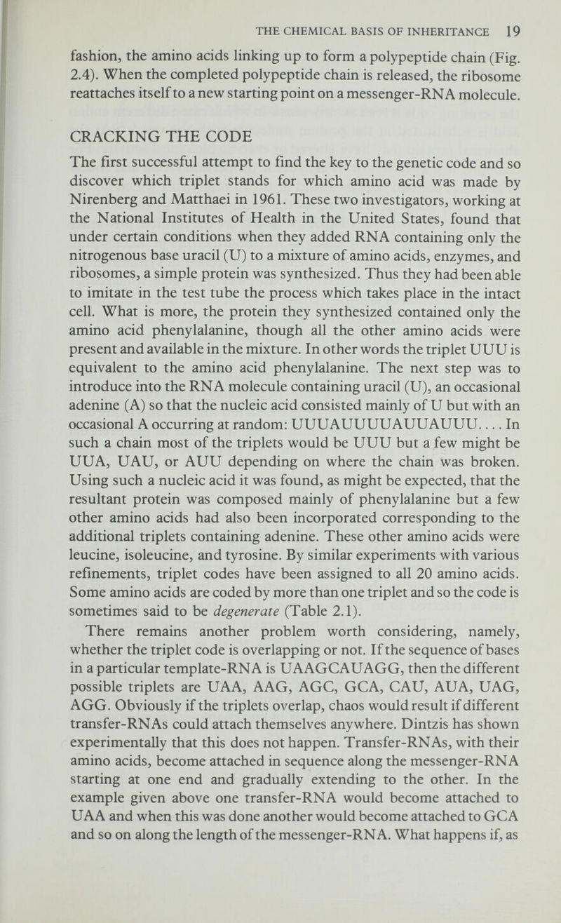 THE CHEMICAL BASIS OF INHERITANCE 21 C9 Л •О о •o < e CN G •О 8 и О < Z ptí o (/) S и <ü V T3 O и Ü> G a> O (N ce H и ce Xì DU<ü Dcj<0 ;DU<Ü Í::)0<0 с 'С >> >> и и с: се -С Си о а С с 5 с 5Ь ьЬ 5Ь S) U U Ui H < с < < I ^ I г^- и <й .5 .В W1 1Л ^ о о -« 1н Ui и t^O H H ♦ S о V с а *2 'S С9 ^ 3 3 с с 1) M Л &Ц CU <u С ТЗ ТЗ ^ ^ — (Л (/i ^ О д д О О С С 'Ü *и D D 1) 4J •-J h-; 1) (U 1) с с tí с 'и 'и *5 *и 3 13 D D <u •-] hJ н4 h-] и tí tí qj а> сл сл tí tí '5Ь*5Ь Ui i-i < < bi) ьо ce ce д: Л д: H H H H .S u <u с и о о о о се се .tí .= О- О- Л сл ос сл < < J hJ ^ _ -g -g Г2 U CJ о и ce ce «  и о •H -ä s e Ь h ce ce ce ce w w D. D. 3 3 СЛ СЛ < < о о u u <и u С G С С 'S 'S 'S '2 ce ce ce ce <<<< u u u u d С С _ö ^ ^ ^ ^ > > > > Ü с _2 w •S Ë ■S ce JS и *