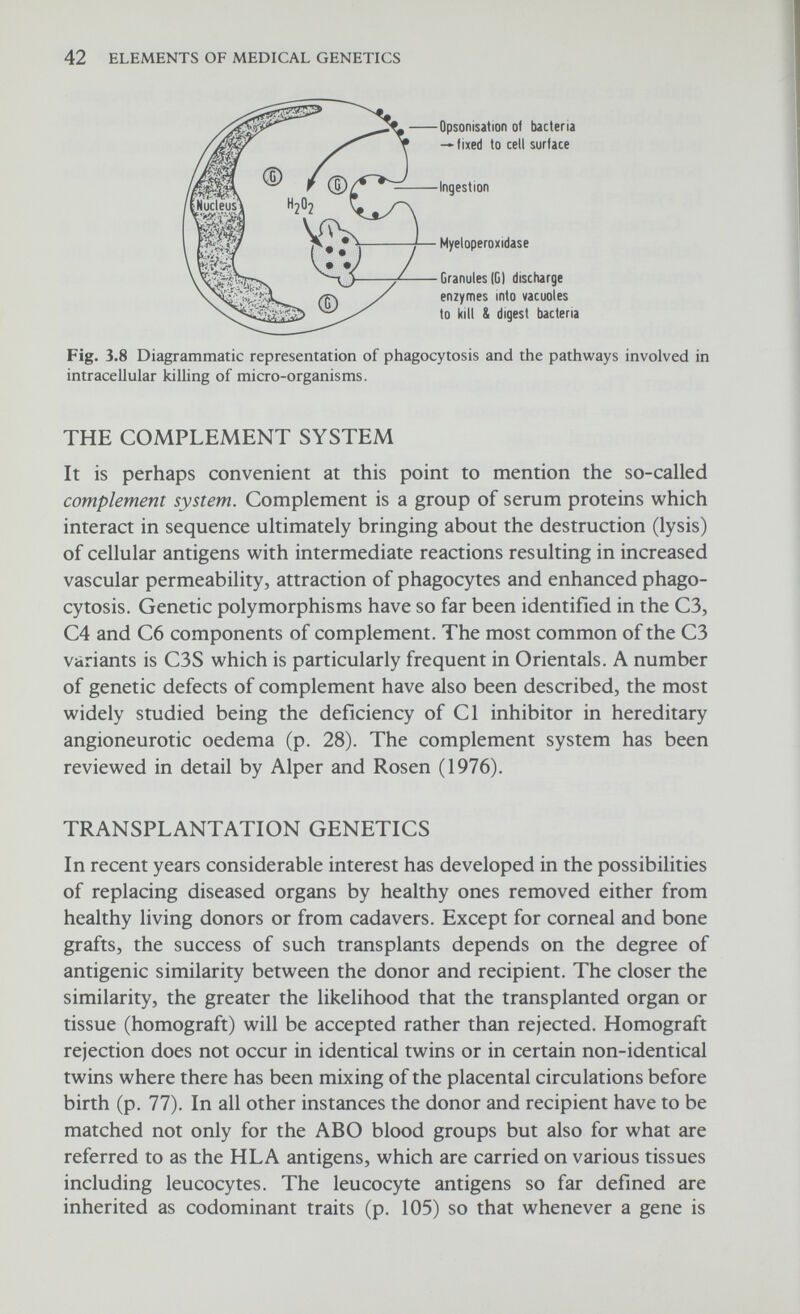 44 ELEMENTS OF MEDICAL GENETICS Thus the sibs of a particular recipient are more likely to be anti- genically similar to him than either of his parents, and the latter more than an unrelated person. For this reason a brother or sister is frequently selected as a donor. In recent series with antigenic matching and immunosuppressive therapy, the three year survival rate of live-donor renal transplants has exceeded 80 per cent (Cheigh et al., 1977). As knowledge of tissue typing increases no doubt greater success will be achieved not only with renal transplants but possibly also with other tissues. Though crossing-over can occur within the HLA region certain alleles tend to occur together more frequently in the same haplotype than would be expected by chance. This has been referred to as linkage disequilibrium, an example of which is the association of the alleles Al and B8 in Western populations. An exciting development, which may help to throw more light on the pathogenesis of certain diseases, has been the demonstration of associations with certain HLA types the best documented being between ankylosing spondylitis and HLA B27. It seems very likely that the next few years will see a considerable increase in our knowledge of the HLA system, which has been well reviewed by Svejgaard et al., (1975) and which is clearly the most polymorphic system so far known in man. Finally mention might be made here of the/Z-Vantigen or Y-linked histocompatibility antigen. In a number of animals male grafts are rejected by females of the same strain. Such incompatibilities are due to a Y-linked histocompatibility antigen which has now been detected in man. Its presence in, for example, patients with XX true hermaphroditism (p. 75) suggests the presence of loci on one of their two X chromosomes which are of Y origin, the H-Y locus andatestis- determining gene. In fact the detection of the H-Y antigen seems to be a sensitive test for the presence of a Y chromosome or of its male determining segment (Wachtel al 1976). The role of the H-Y antigen in transplantation however has yet to be studied in detail. FURTHER READING Alper, C. A., & Rosen, F. S. (1976). Genetics of the complement system, In Advances in Human Genetics Vol. 7. Ed. Harris, H. & Hirschhorn, К. pp. 141-188. New York & London: Plenum Press. Bach, F. H. (1970) Transplantation: pairing of donor and recipient. Science, N.Y. 168, 1170-1179. Bradley, J. (1974) Immunoglobulins—a review. J. med. Genet. 11, 80-90. Brock, D. J. H. & Mayo, O. (1978) (eds.) The Biochemical Genetics of Man. 2nd edn. London: Academic Press. Brown, M. S. & Goldstein, J. L. (1976) Familial hypercholesterolaemia: a genetic defect in the low-density lipoprotein receptor. New Engl. J. Med. 294, 1386-1390.