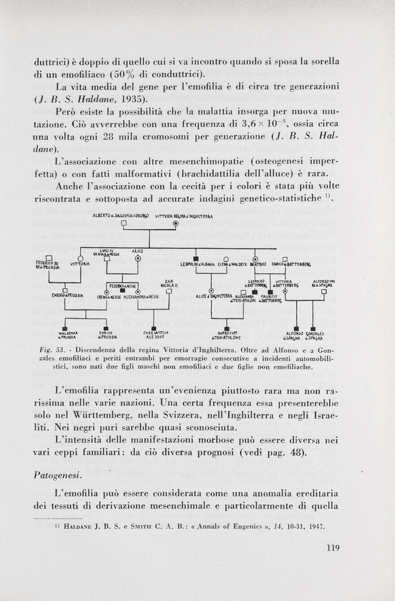 duttrici) è doppio di quello cui si va incontro quando si sposa la sorella di un emofiliaco (50% di conduttrici). La vita media del gene per l'emofilia è di circa tre generazioni (J. B. S. Haldane, 1935). Però esiste la possibilità che la malattia insorga per nuova mu tazione. Ciò avverrebbe con una frequenza di 3,6 x 10 % ossia circa una volta ogni 28 mila cromosomi per generazione ( J. B. S. Hal dane). L'associazione con altre mesenchimopatie (osteogenesi imper fetta) o con fatti malformativi (brachidattilia dell'alluce) è rara. Anche l'associazione con la cecità per i colori è stata più volte riscontrata e sottoposta ad accurate indagini genetico-statistiche !) . AHERTOiMMONIA-tOBUfi^) virrORIA Rty HA ¿'INGHILTERRA Ç f □ federico m Vii PRUSSIA ÍltfKI W «mucaINE. a ENRICOiiPRUSSJA >UCA*N Í3áí 1 I FEDEKOilltsSE ! è ■ ¿ IRENEiHESSE ALESSANMAiNESE T Í O (?) Q LEOWt M ¿'ALBANIA ElENj amPECK BEATRICE ENRICO^BATTENBEW; £ VtfALDEttAH *.PAU45tA i EMftICO ¿»PRUSSIA ZAR NICOLA II T LEOPOLDO ¿bkttíwij^ ® □ äi — ALICE i'INOMTERRA ALE»**«* riAURizio ¿TECMTHUJflE ¿aBATTEUBERS VITTORIA ¿BATTENBERG t ALFONSO *U UtibPA^HA ZAREVXTTCH ALESSIO T RUPRECHT ¿JECK-ATHLONE J ALFONiO ÇONZALEi iiW^HA iSPA&NA Fig. 53. - Discendenza della regina Vittoria d'Inghilterra. Oltre ad Alfonso e a Gon zales emofiliaci e periti entrambi per emorragie consecutive a incidenti automobili stici, sono nati due figli maschi non emofiliaci e due figlie non emofiliache. L'emofilia rappresenta un'evenienza piuttosto rara ma non ra rissima nelle varie nazioni. Una certa frequenza essa presenterebbe solo nel Württemberg, nella Svizzera, nell'Inghilterra e negli Israe liti. Nei negri puri sarebbe quasi sconosciuta. L'intensità delle manifestazioni morbose può essere diversa nei vari ceppi familiari : da ciò diversa prognosi (vedi pag. 48). Patogenesi. L'emofilia può essere considerata come una anomalia ereditaria dei tessuti di derivazione mesenchimale e particolarmente di quella 1) Hai.dane J. B. S. e Smith C. A. B.: « Annals 1 of Eugenics », 14, 10-31, 1947.