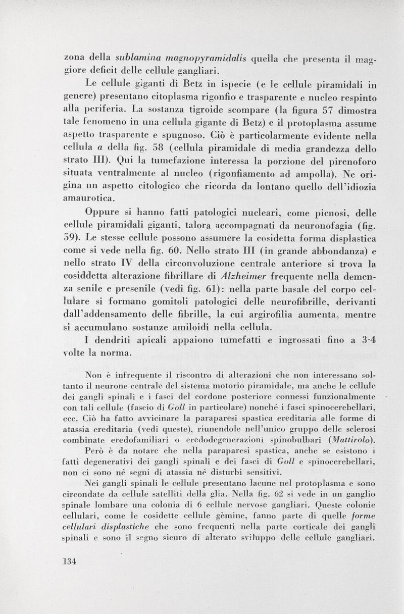 zona della sublamina magnopyramidalis quella che presenta il mag giore deficit delle cellule gangliari. Le cellule giganti di Betz in ispecie (e le cellule piramidali in genere) presentano citoplasma rigonfio e trasparente e nucleo respinto alla periferia. La sostanza tigroide scompare (la figura 57 dimostra tale fenomeno in una cellula gigante di Betz) e il protoplasma assume aspetto trasparente e spugnoso. Ciò è particolarmente evidente nella cellula a della fig. 58 (cellula piramidale di media grandezza dello strato III). Qui la tumefazione interessa la porzione del pirenoforo situata ventralmente al nucleo (rigonfiamento ad ampolla). Ne ori gina un aspetto citologico che ricorda da lontano quello dell'idiozia amaurotica. Oppure si hanno fatti patologici nucleari, come picnosi, delle cellule piramidali giganti, talora accompagnati da neuronofagia (fig. 59). Le stesse cellule possono assumere la cosidetta forma displastica come si vede nella fig. 60. Nello strato III (in grande abbondanza) e nello strato IV della circonvoluzione centrale anteriore si trova la cosiddetta alterazione fibrillare di Alzheimer frequente nella demen za senile e presenile (vedi fig. 61): nella parte basale del corpo cel lulare si formano gomitoli patologici delle neurofibrille, derivanti dall'addensamento delle fibrille, la cui argirofilia aumenta, mentre si accumulano sostanze amiloidi nella cellula. I dendriti apicali appaiono tumefatti e ingrossati fino a 3-4 volte la norma. Non è infrequente il riscontro di alterazioni che non interessano sol tanto il neurone centrale del sistema motorio piramidale, ma anche le cellule dei gangli spinali e i fasci del cordone posteriore connessi funzionalmente con tali cellule (fascio di Göll in particolare) nonché i fasci spinocerebellar^ ecc. Ciò ha fatto avvicinare la paraparesi spastica ereditaria alle forme di atassia ereditaria (vedi queste), riunendole nell'unico gruppo delle sclerosi combinate eredofamiliari o eredodegenerazioni spinobul.bari ( Mattirolo). Però è da notare che nella paraparesi spastica, anche se esistono i fatti degenerativi dei gangli spinali e dei fasci di Göll e spinocerehellari, non ci sono né segni di atassia né disturbi sensitivi. Nei gangli spinali le cellule presentano lacune nel protoplasma e sono circondate da cellule satelliti della glia. Nella fig. 62 si vede in un ganglio spinale lombare una colonia di 6 cellule nervose gangliari. Queste colonie cellulari, come le cosidette cellule gèmine, fanno parte di quelle formo cellulari displastiche che sono frequenti nella parte corticale dei gangli spinali e sono il segno sicuro di alterato sviluppo delle cellule gangliari.