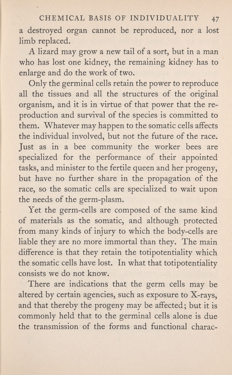 CHEMICAL BASIS OF INDIVIDUALITY 47 a destroyed organ cannot be reproduced, nor a lost limb replaced. A lizard may grow a new tail of a sort, but in a man who has lost one kidney, the remaining kidney has to enlarge and do the work of two. Only the germinal cells retain the power to reproduce all the tissues and all the structures of the original organism, and it is in virtue of that power that the re¬ production and survival of the species is committed to them. Whatever may happen to the somatic cells affects the individual involved, but not the future of the race. Just as in a bee community the worker bees are specialized for the performance of their appointed tasks, and minister to the fertile queen and her progeny, but have no further share in the propagation of the race, so the somatic cells are specialized to wait upon the needs of the germ-plasm. Yet the germ-cells are composed of the same kind of materials as the somatic, and although protected from many kinds of injury to which the body-cells are liable they are no more immortal than they. The main difference is that they retain the totipotentiality which the somatic cells have lost. In what that totipotentiality consists we do not know. There are indications that the germ cells may be altered by certain agencies, such as exposure to X-rays, and that thereby the progeny may be affected ; but it is commonly held that to the germinal cells alone is due the transmission of the forms and functional charac-