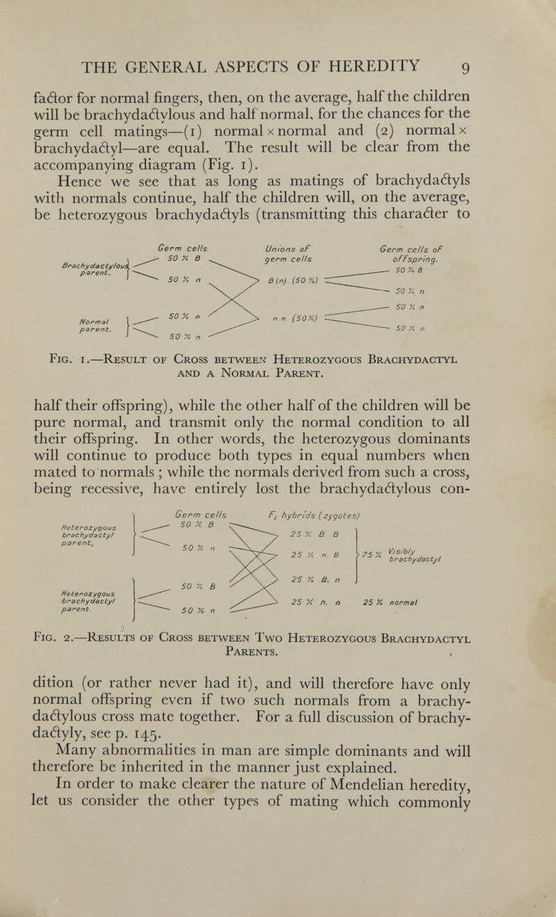 THE GENERAL ASPECTS OF HEREDITY 9 fatìor for normal fingers, then, on the average, half the children will be brachydaftylous and half norma 1, for the chances for the germ cell matings—(i) normal x normal and (2) normal x brachydatìyl—are equal. The result will be clear from the accompanying diagram (Fig. i). Hence we see that as long as matings of brachydatìyls with normals continue, half the children will, on the average, be heterozygous brachydatìyls (transmitting this charader to Óra eh y da с ty/Oi parent. Unions oF germ cells Germ cells oF offspring. 50% В 50 % n Fig. i,—Result of Cross between Heterozygous Brachydactyl and a Normal Parent. half their offspring), while the other half of the children will be pure normal, and transmit only the normal condition to all their offspring. In other words, the heterozygous dominants will continue to produce both types in equal numbers when mated to normals ; while the normals derived from such a cross, being recessive, have entirely lost the brachydadylous con- Heterozygous brachydactyl parent^ heterozygous brachydactyt parent. Germ cells 50 X В F¡ hybrids (zygotes) 25 X В В 25 X п. В 75 А brachydactyl 25 Я norme! Fig. 2.—Results of Cross between Two Heterozygous Brachydactyl Parents. , dition (or rather never had it), and will therefore have only normal offspring even if two such normals from a brachy- dadylous cross mate together. For a full discussion of brachy- dadyly, see p. 145. Many abnormalities in man are simple dominants and will therefore be inherited in the manner just explained. In order to make clearer the nature of Mendelian heredity, let us consider the other types of mating which commonly